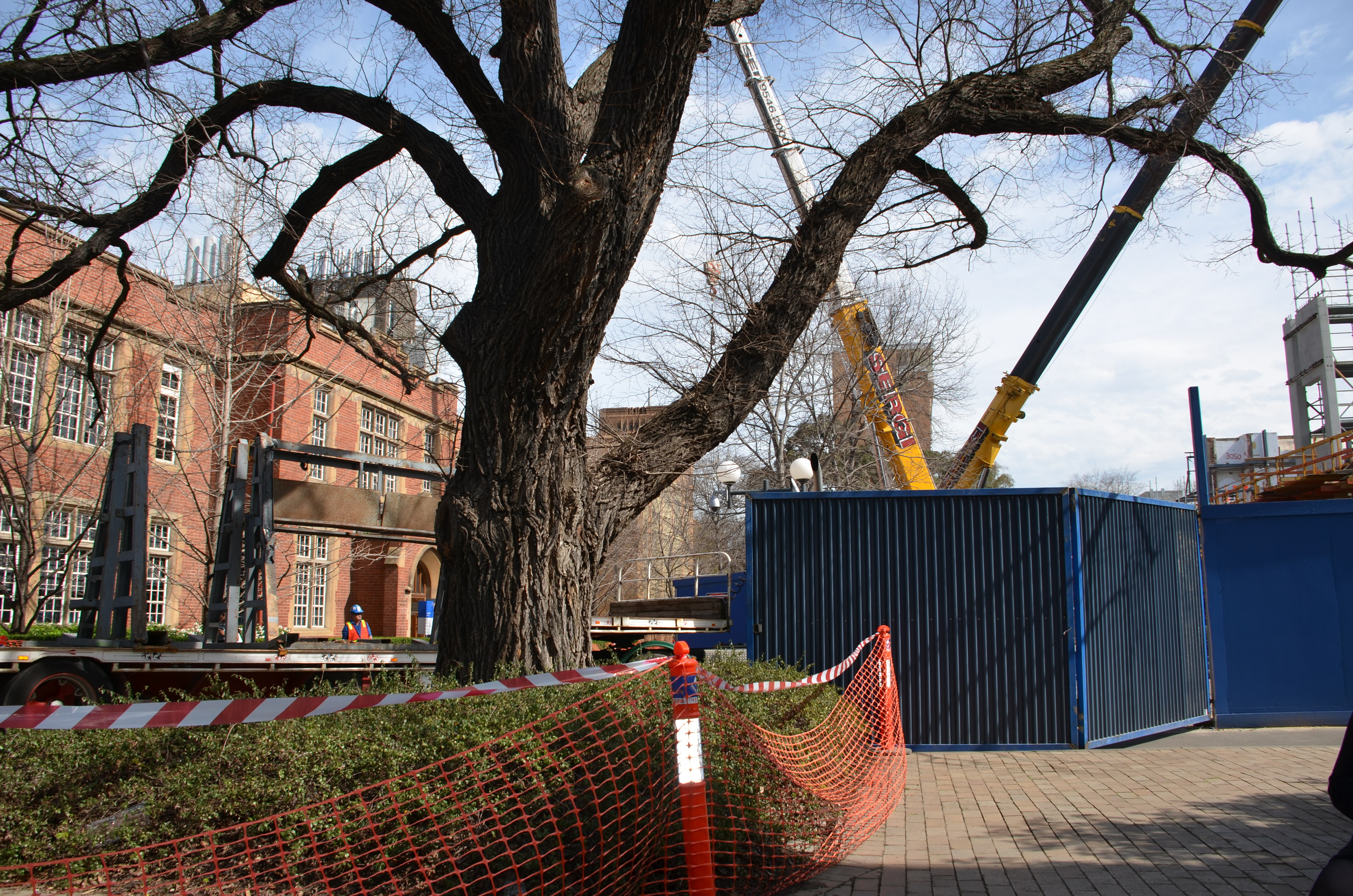 https://archive.abp.unimelb.edu.au/objects/images/Construction/Images/Site facilities/Traffic management & cleanup/DSC_1712.JPG https://archive.abp.unimelb.edu.au/objects/images/Construction/Images/Site facilities/Traffic management & cleanup/DSC_1712.JPG