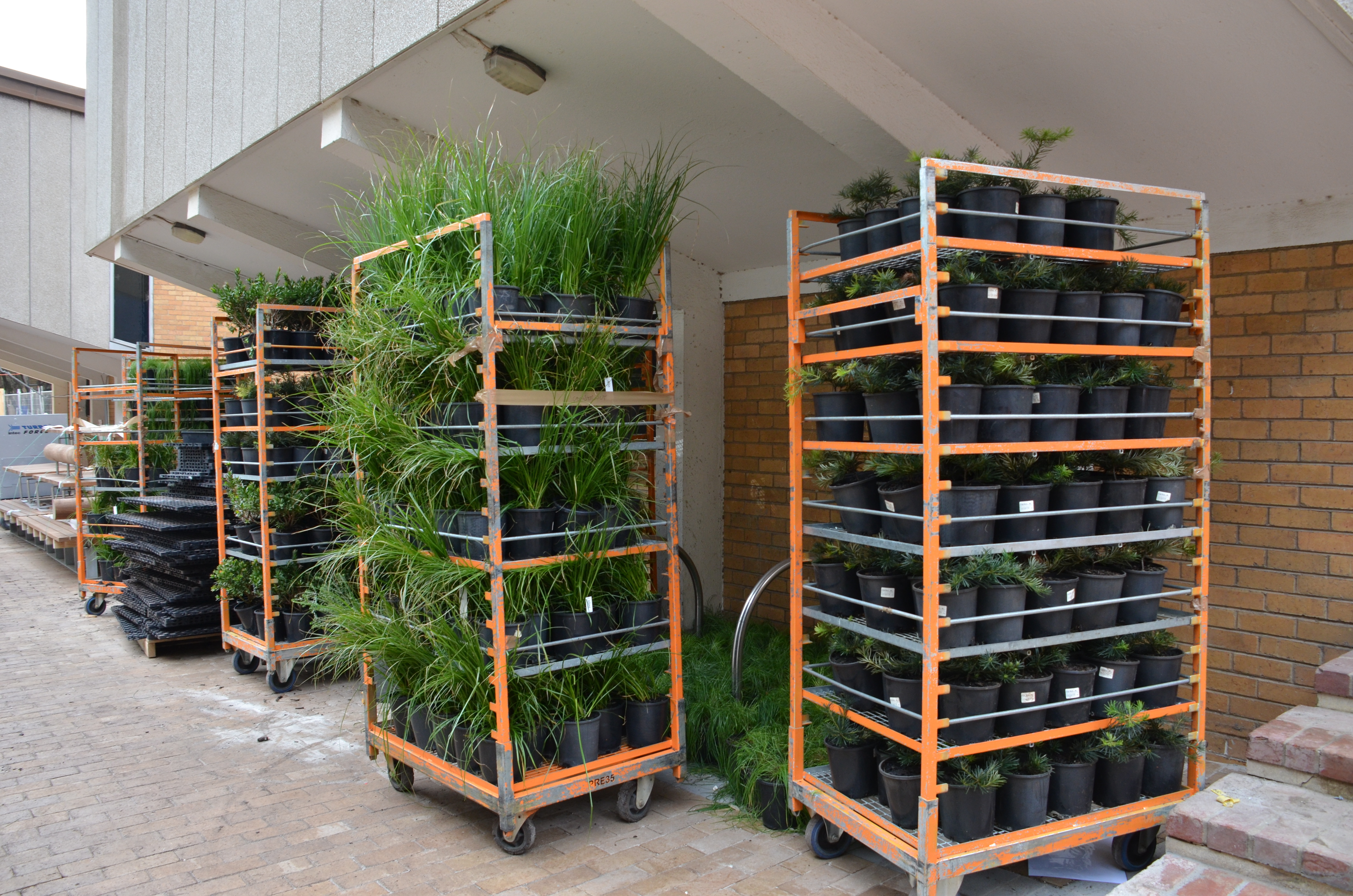 https://archive.abp.unimelb.edu.au/objects/images/Construction/Images/External Works/Planting/DSC_9786.JPG https://archive.abp.unimelb.edu.au/objects/images/Construction/Images/External Works/Planting/DSC_9786.JPG
