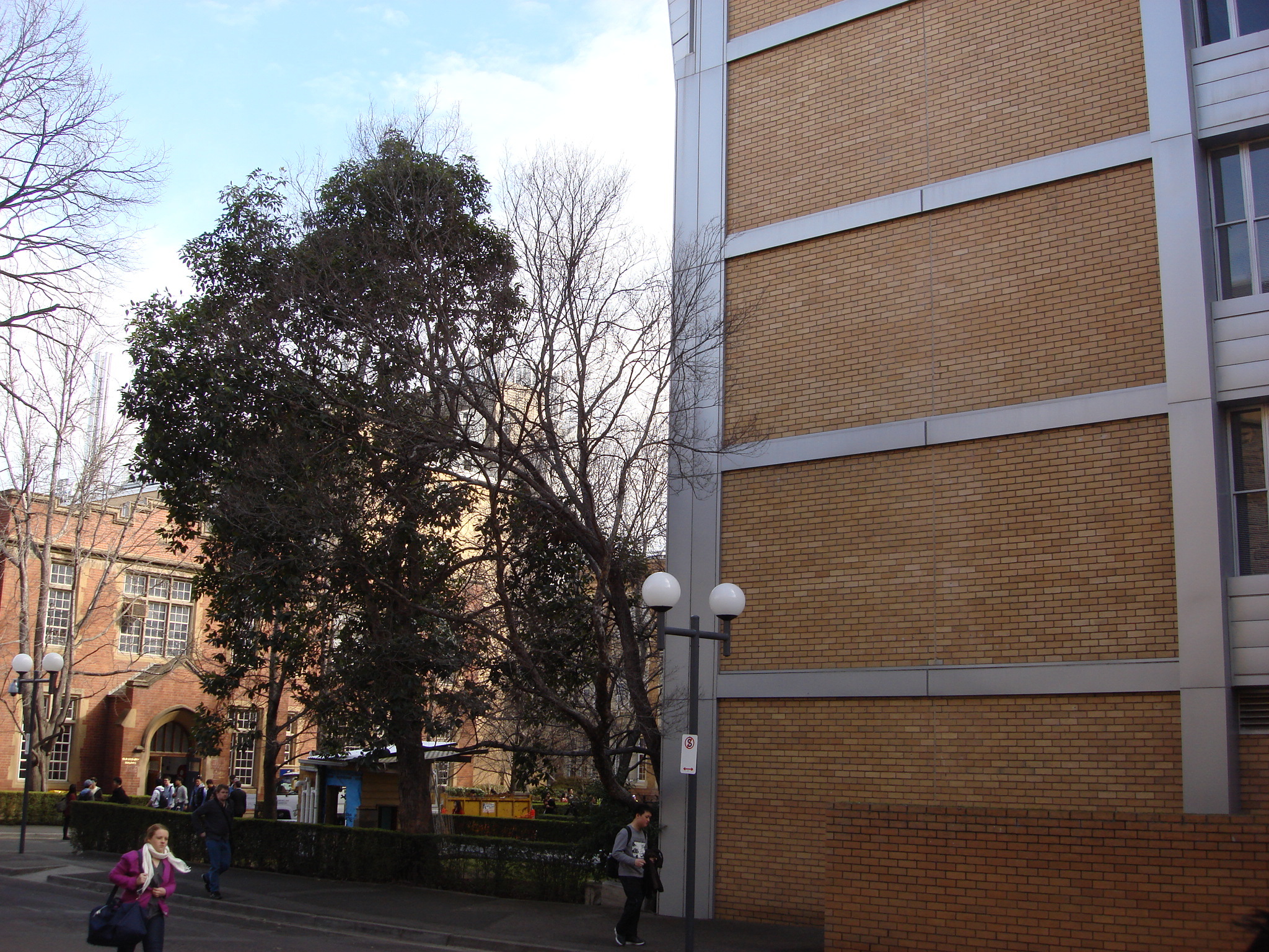 https://archive.abp.unimelb.edu.au/objects/images/Old ABP building and pre-existing conditions/ABP & Old Commerce/External-PAshford/DSC06705.JPG
