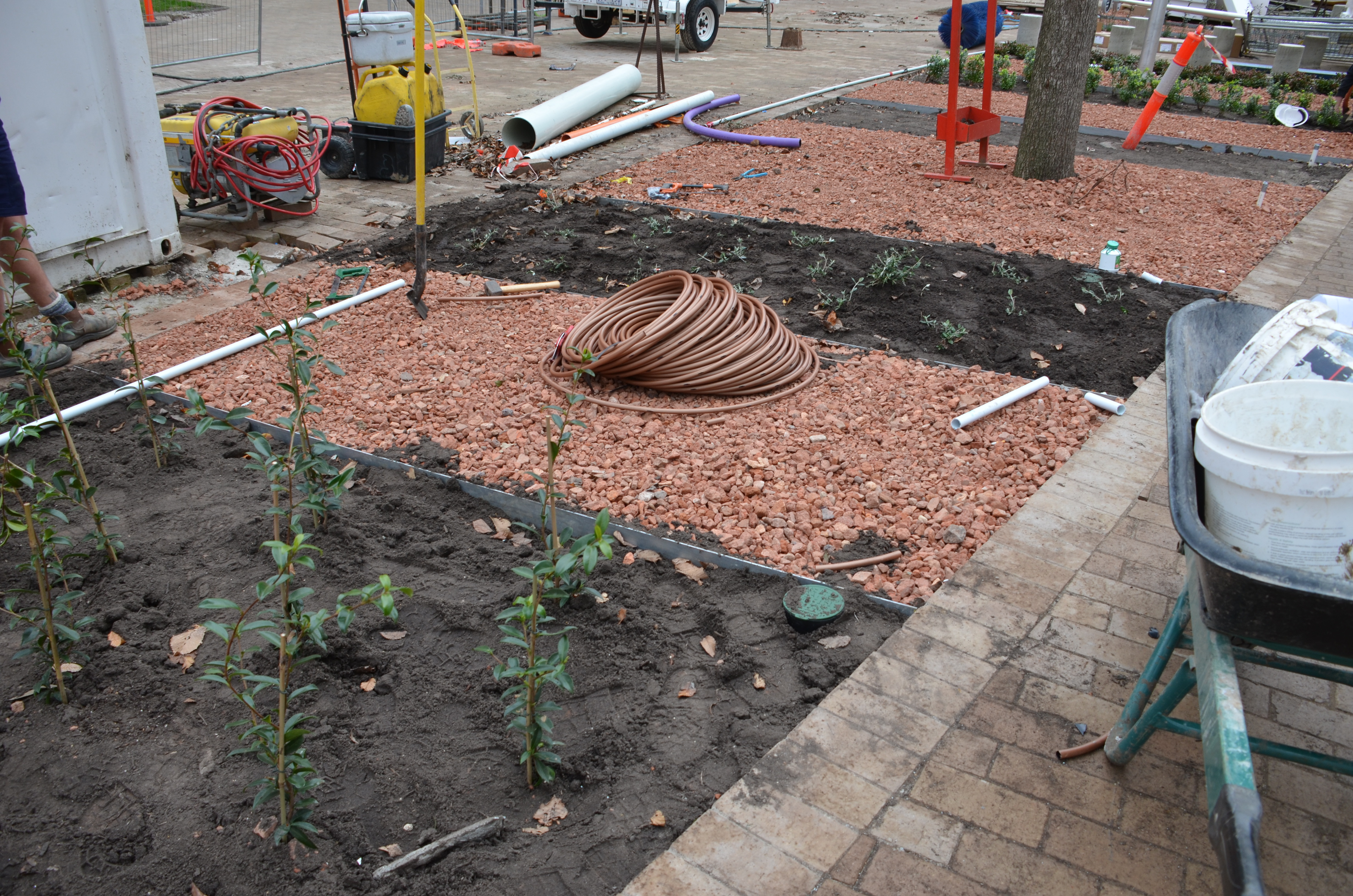 https://archive.abp.unimelb.edu.au/objects/images/Construction/Images/External Works/Planting/DSC_9598.JPG https://archive.abp.unimelb.edu.au/objects/images/Construction/Images/External Works/Planting/DSC_9598.JPG