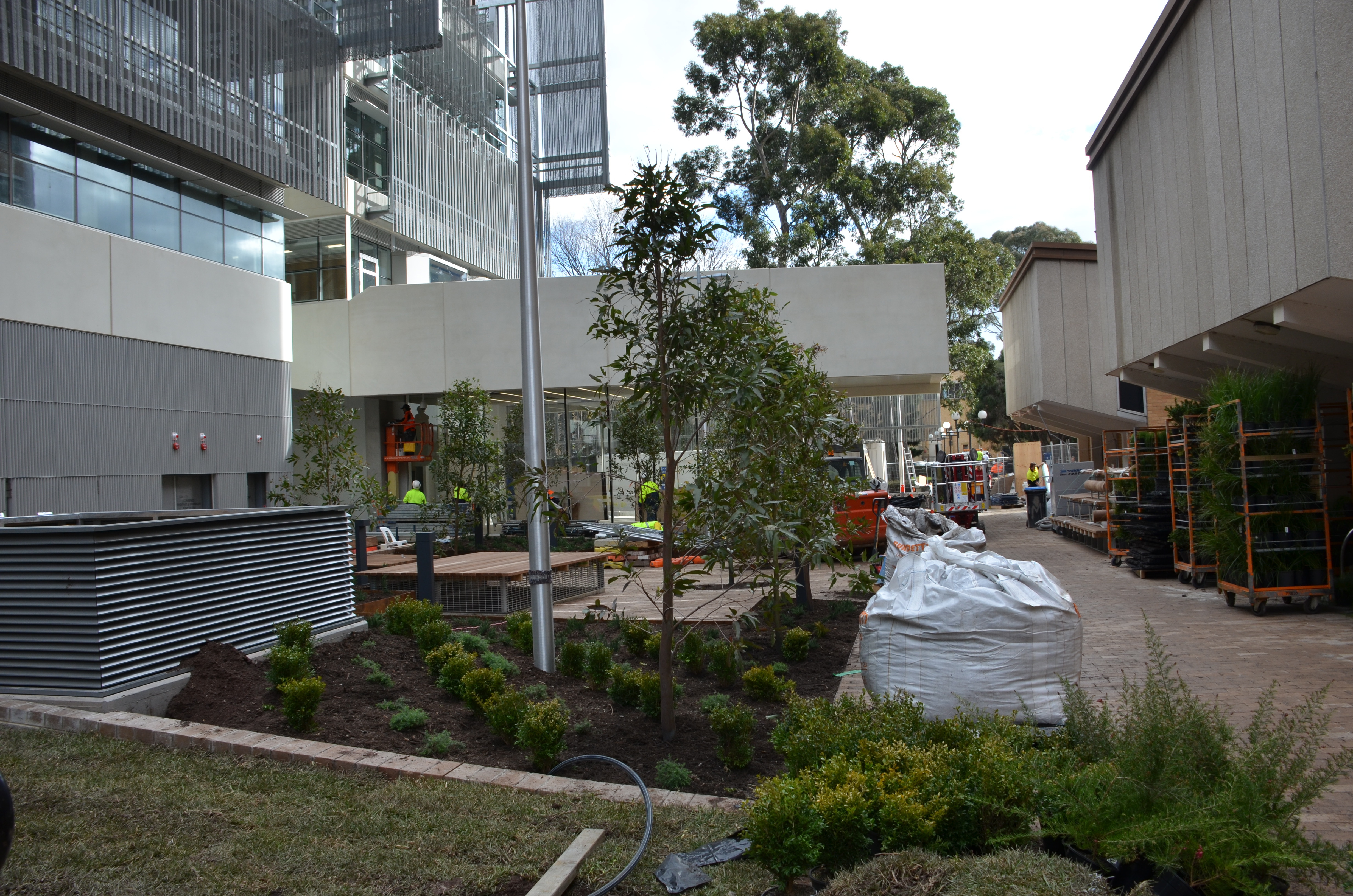 https://archive.abp.unimelb.edu.au/objects/images/Construction/Images/External Works/Planting/DSC_9785.JPG https://archive.abp.unimelb.edu.au/objects/images/Construction/Images/External Works/Planting/DSC_9785.JPG