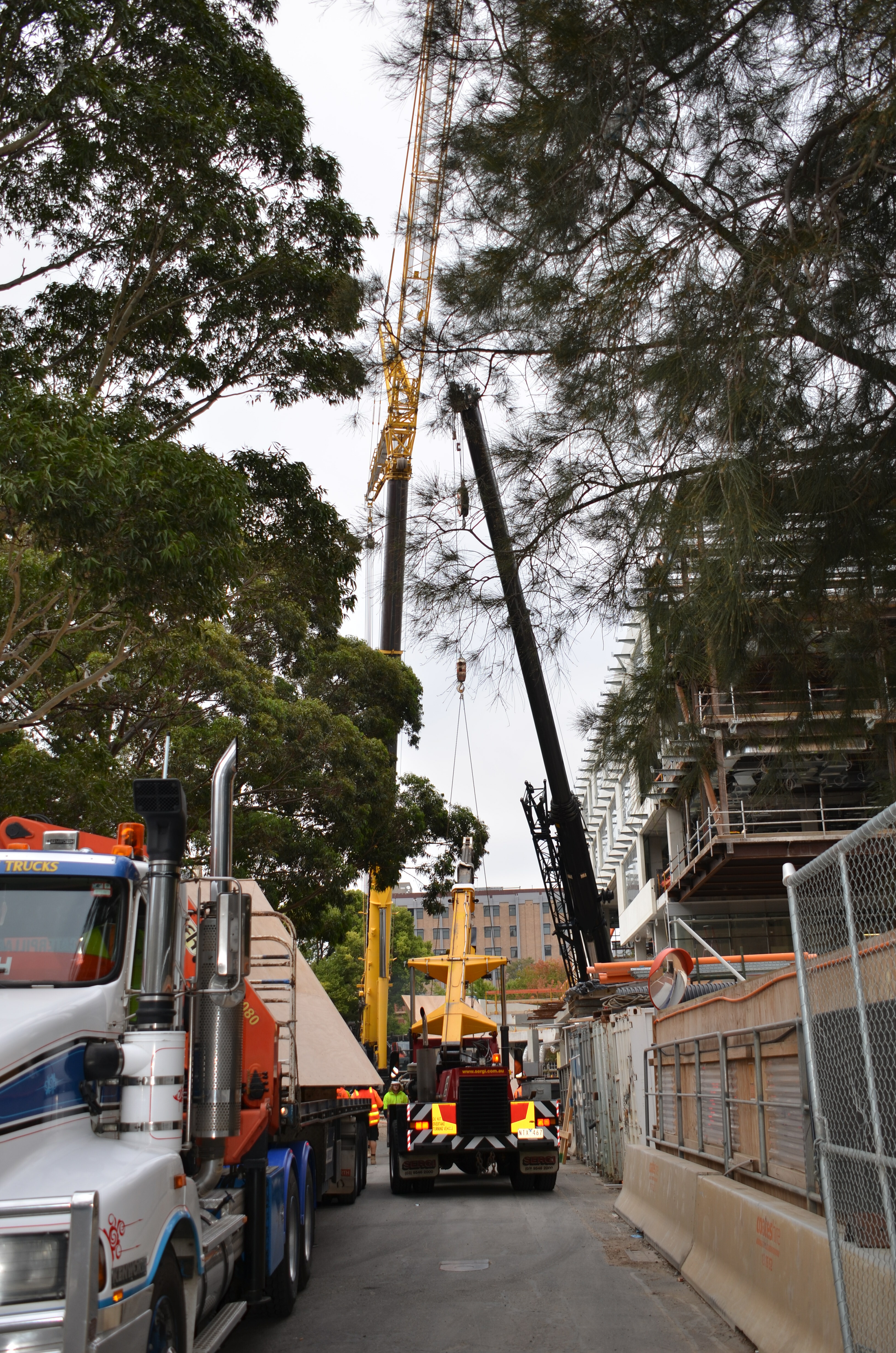 https://archive.abp.unimelb.edu.au/objects/images/Construction/Images/LVL roof beams & coffers/Installation/DSC_5827.JPG https://archive.abp.unimelb.edu.au/objects/images/Construction/Images/LVL roof beams & coffers/Installation/DSC_5827.JPG