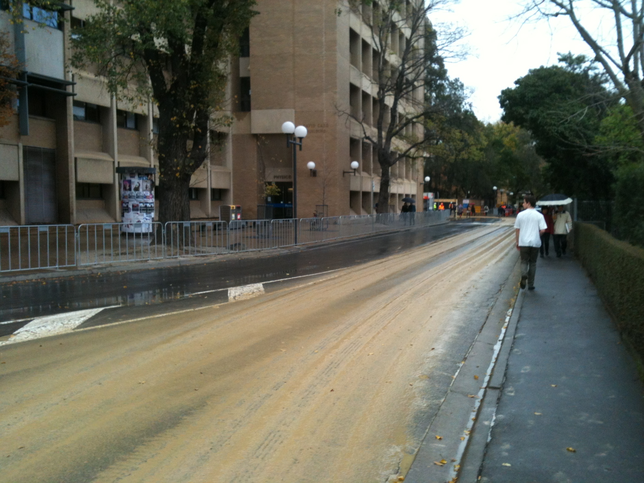 https://archive.abp.unimelb.edu.au/objects/images/Construction/Images/Site facilities/Traffic management & cleanup/DSC_0009N.JPG https://archive.abp.unimelb.edu.au/objects/images/Construction/Images/Site facilities/Traffic management & cleanup/DSC_0009N.JPG