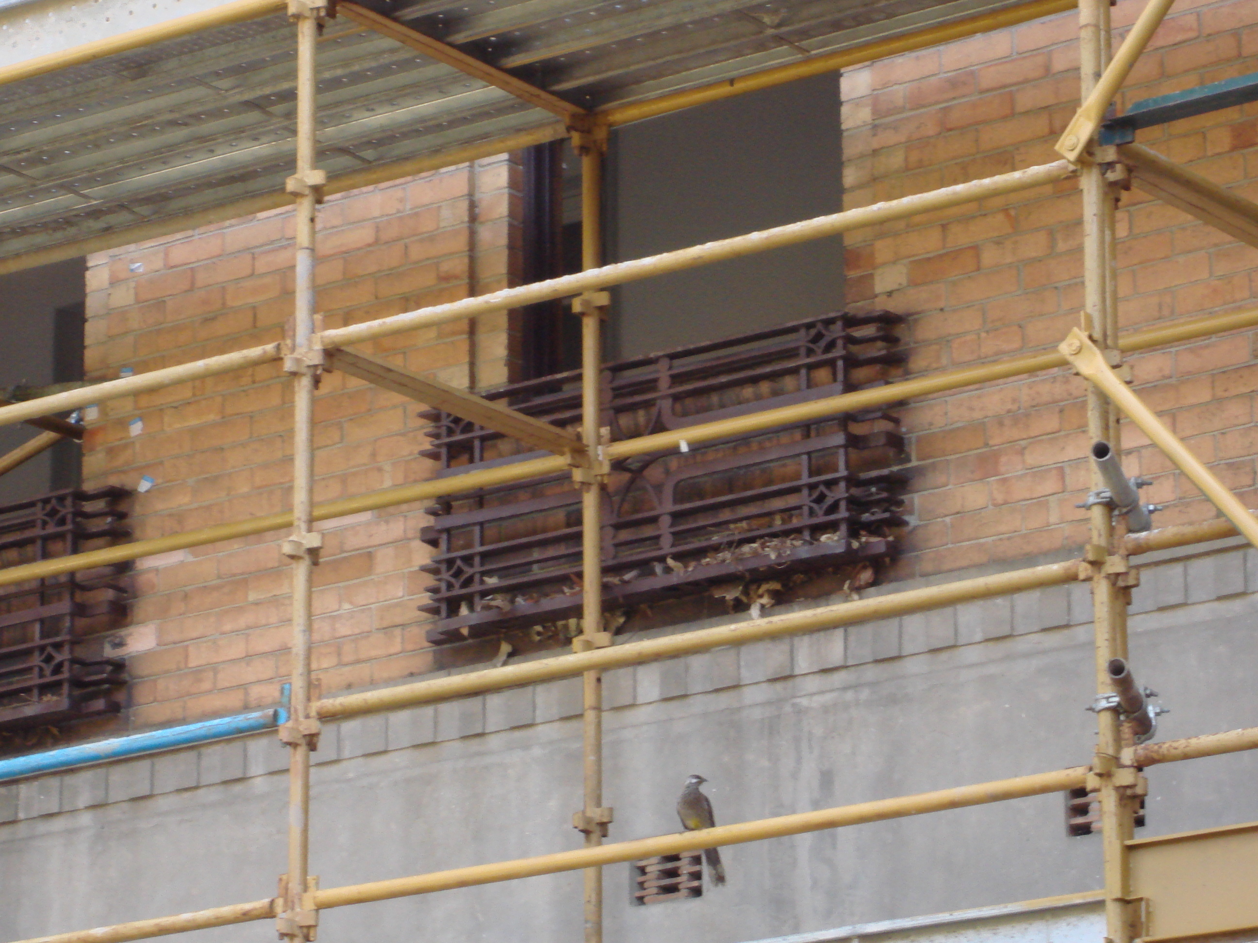 https://archive.abp.unimelb.edu.au/objects/images/Pre-construction/Enabling works/DSC07796.JPG https://archive.abp.unimelb.edu.au/objects/images/Pre-construction/Enabling works/DSC07796.JPG