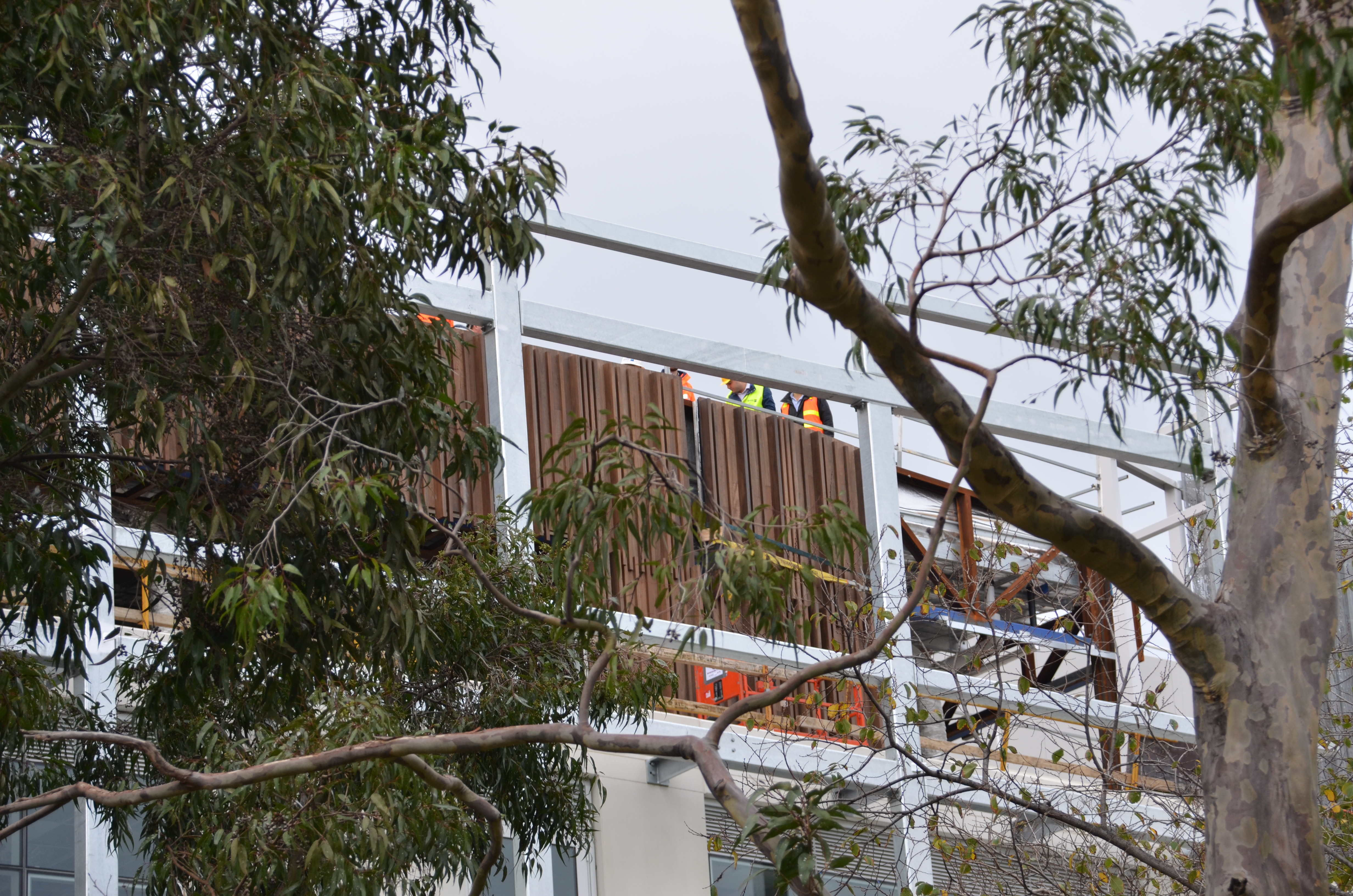 https://archive.abp.unimelb.edu.au/objects/images/Construction/Images/Facades/Timber Japanese room/DSC_8208.JPG https://archive.abp.unimelb.edu.au/objects/images/Construction/Images/Facades/Timber Japanese room/DSC_8208.JPG