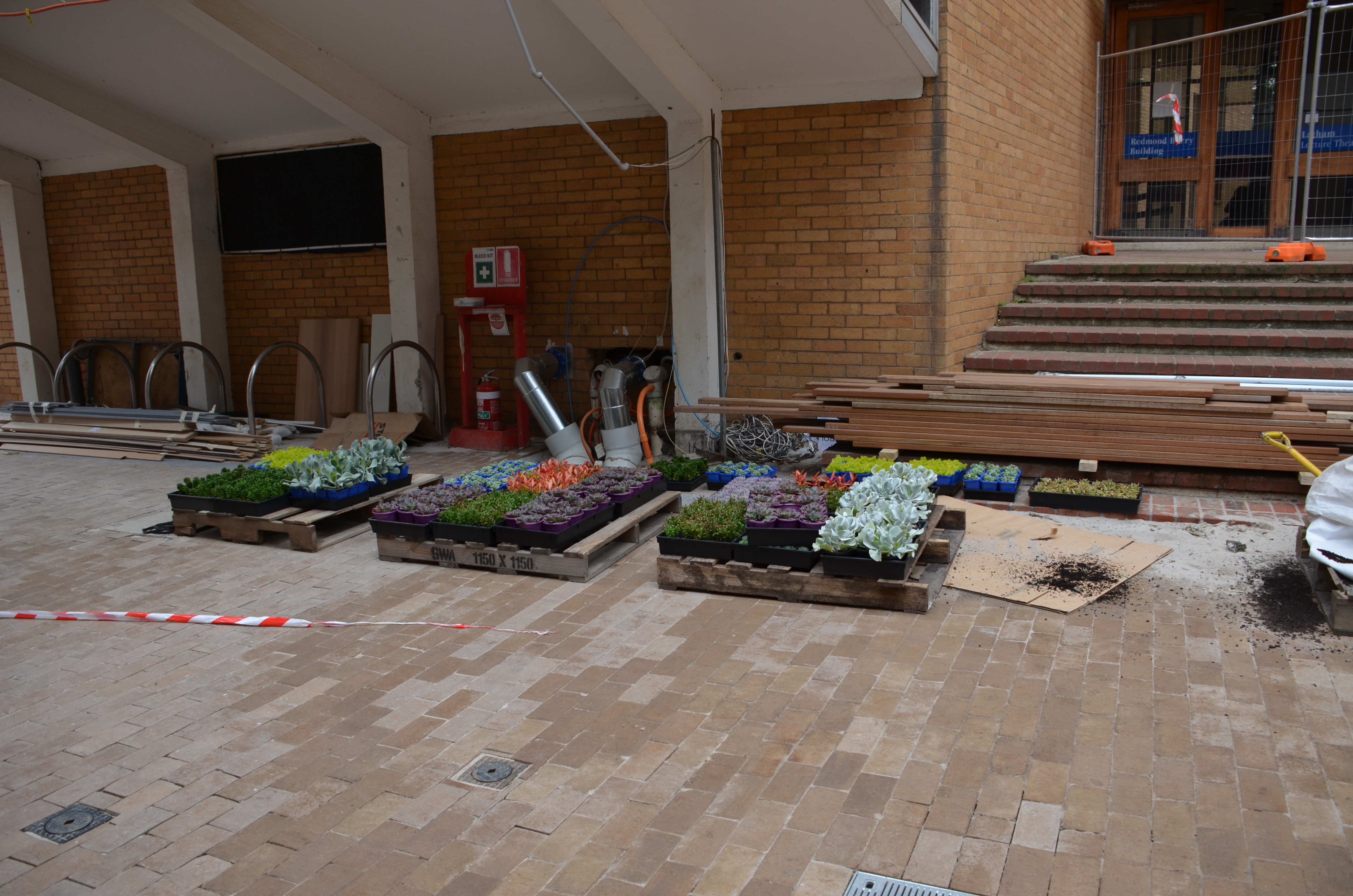https://archive.abp.unimelb.edu.au/objects/images/Construction/Images/External Works/Planting/DSC_9613.JPG https://archive.abp.unimelb.edu.au/objects/images/Construction/Images/External Works/Planting/DSC_9613.JPG