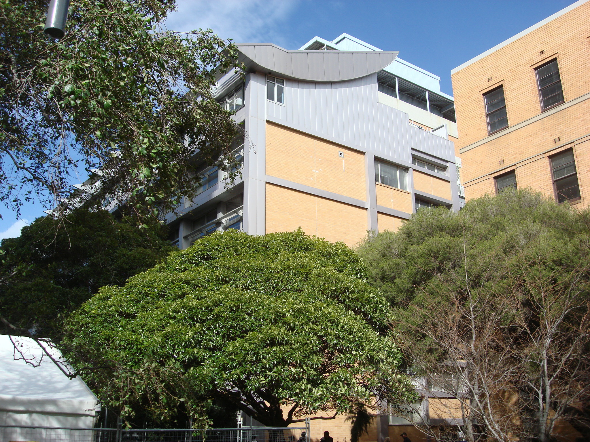 https://archive.abp.unimelb.edu.au/objects/images/Old ABP building and pre-existing conditions/ABP & Old Commerce/External-PAshford/DSC06712.JPG