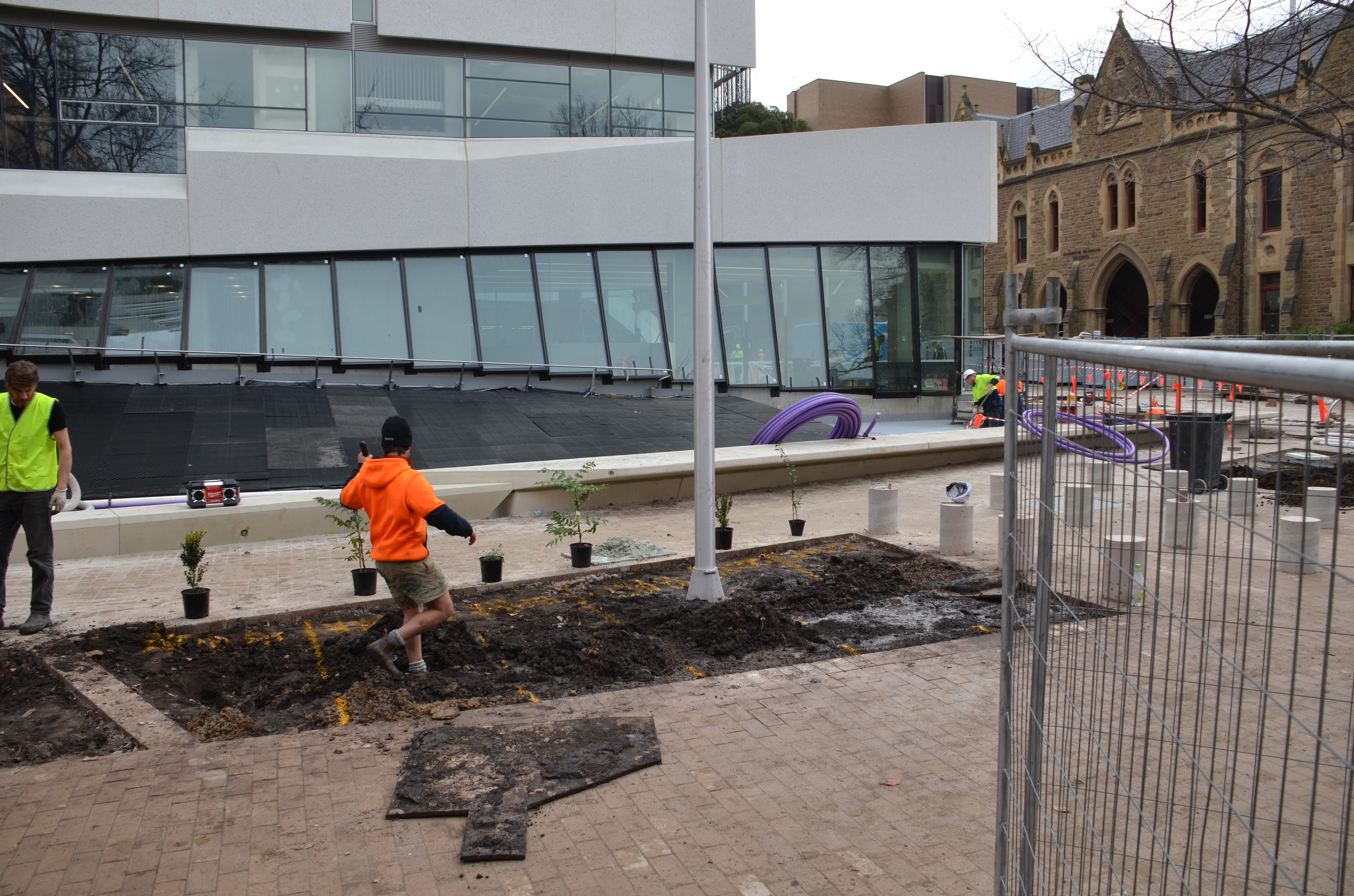 https://archive.abp.unimelb.edu.au/objects/images/Construction/Images/External Works/Planting/DSC_9543.JPG https://archive.abp.unimelb.edu.au/objects/images/Construction/Images/External Works/Planting/DSC_9543.JPG