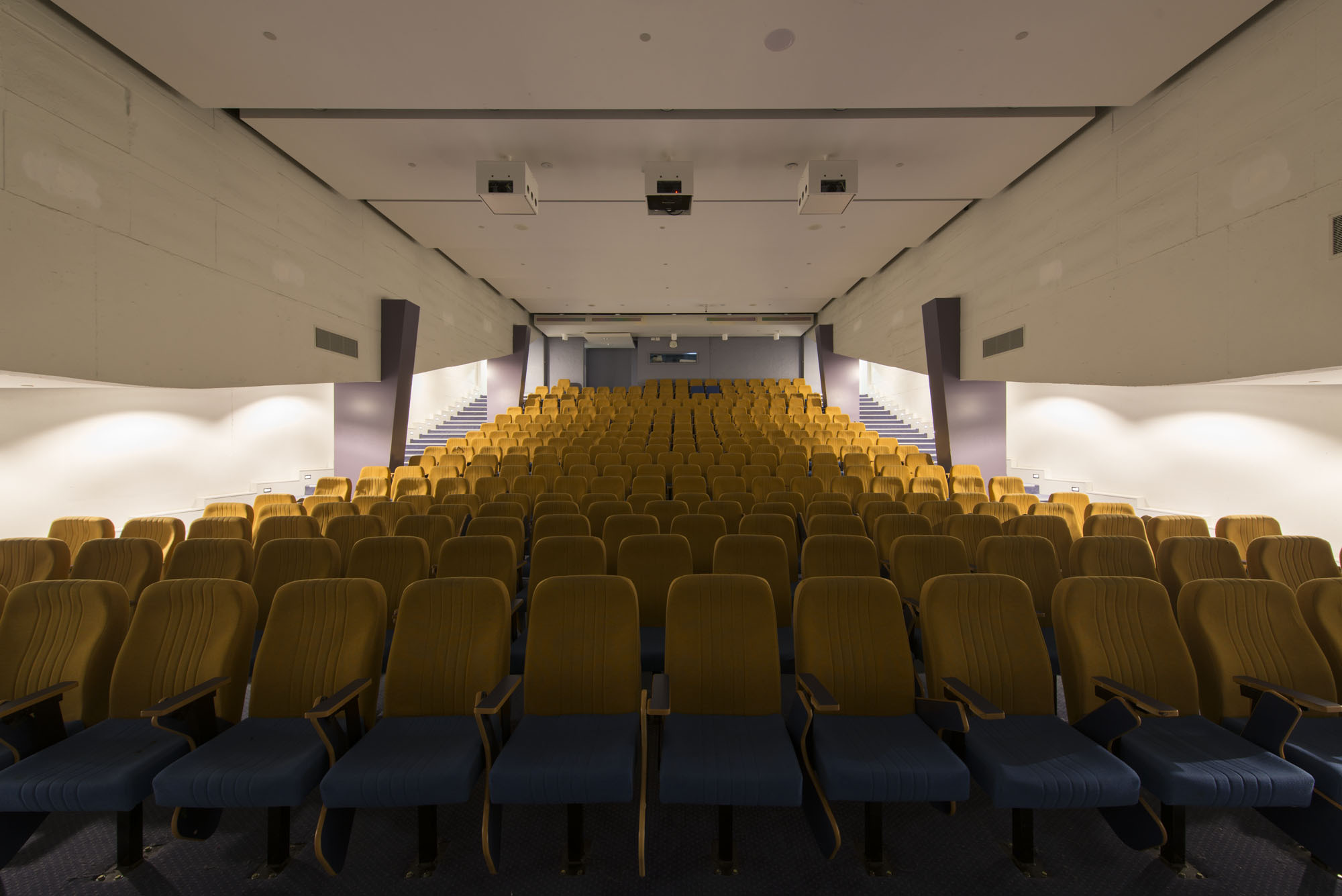 https://archive.abp.unimelb.edu.au/objects/images/Old ABP building and pre-existing conditions/ABP & Old Commerce/Internal-ALipsysPhotog/20121113-_AVL7908.jpg