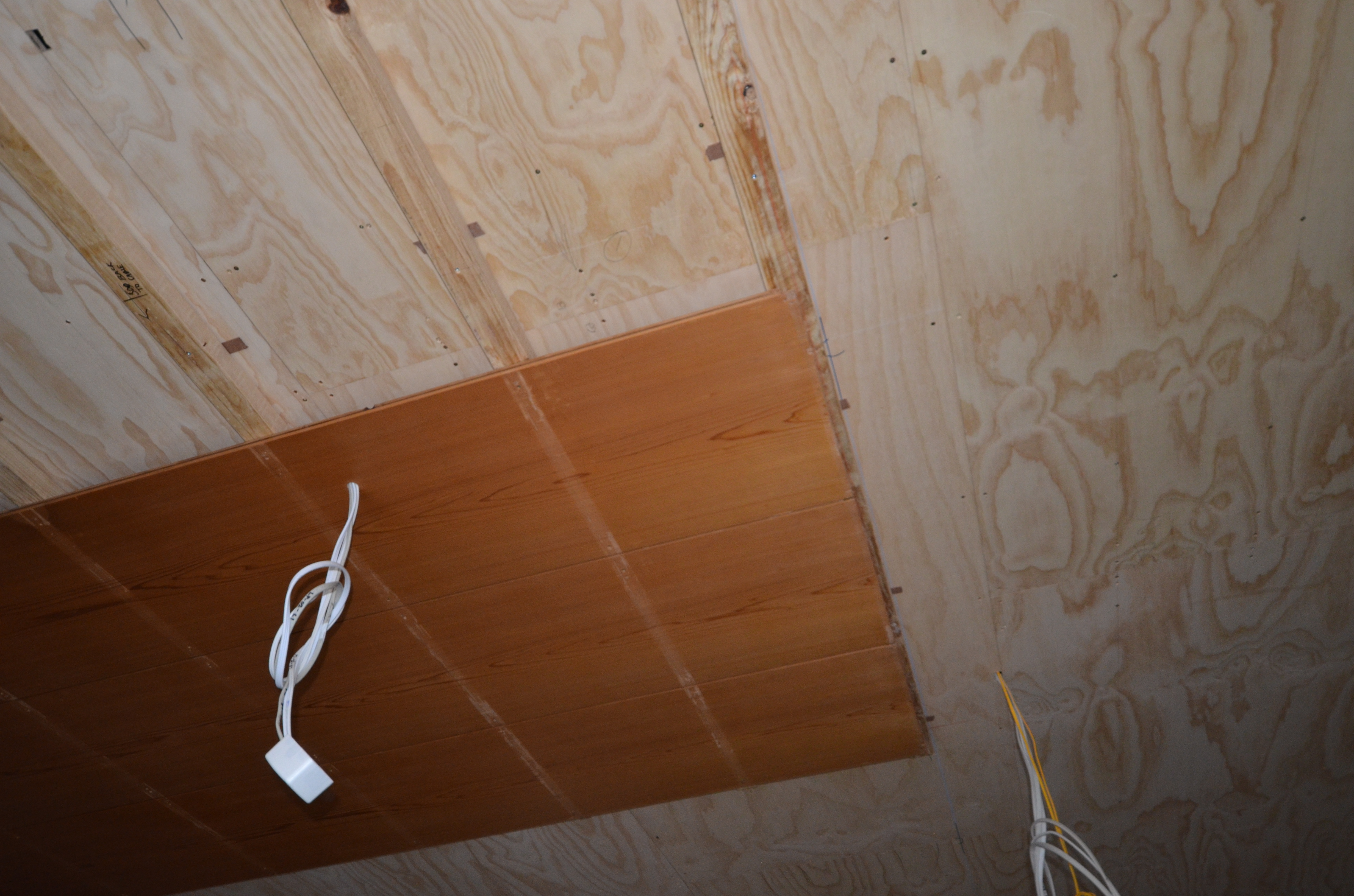 https://archive.abp.unimelb.edu.au/objects/images/Construction/Images/Japanese room refit/DSD_0179.JPG https://archive.abp.unimelb.edu.au/objects/images/Construction/Images/Japanese room refit/DSD_0179.JPG