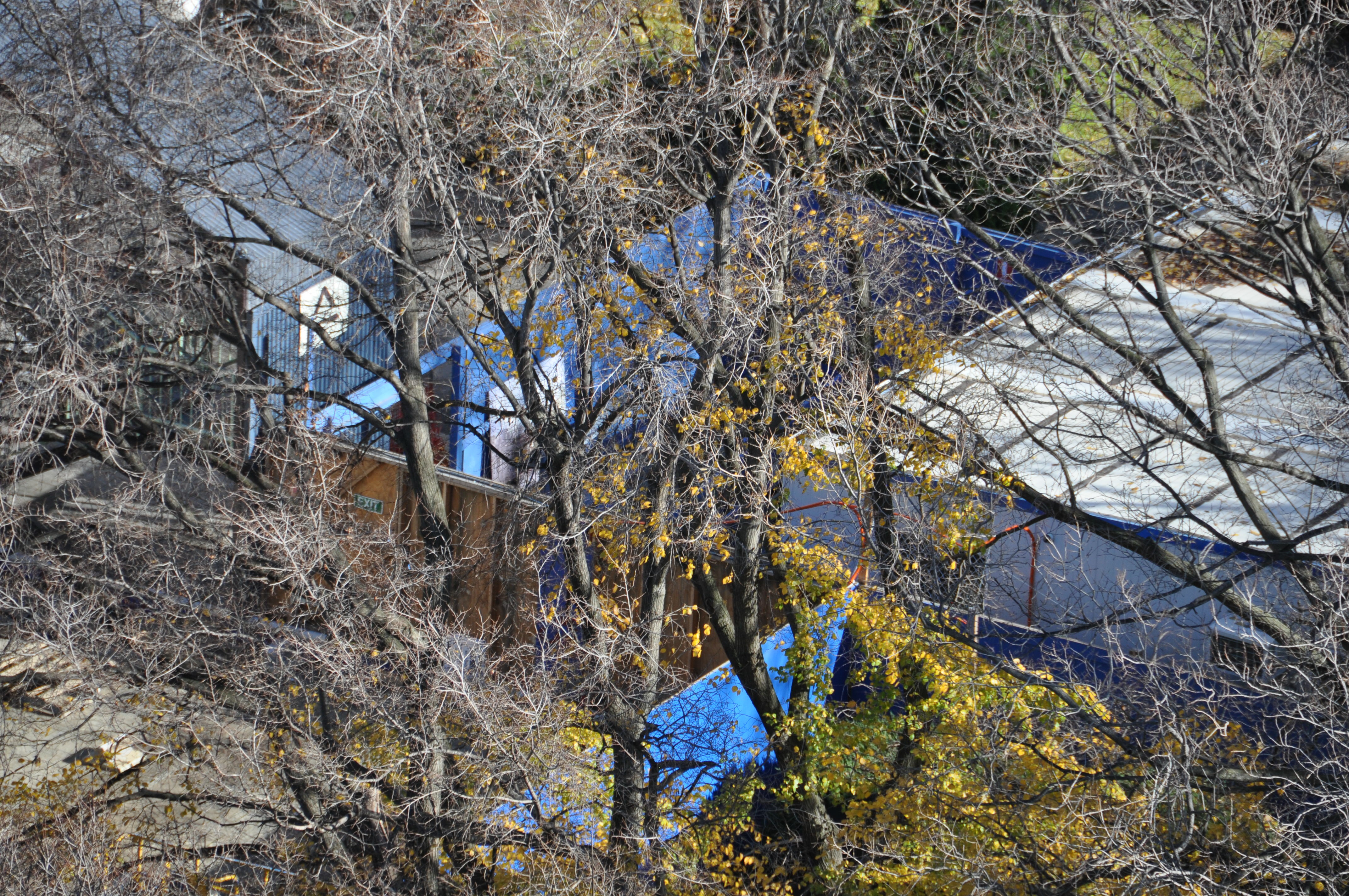 https://archive.abp.unimelb.edu.au/objects/images/Construction/Images/Site facilities/Additional site sheds & fences/DSC_0333.JPG