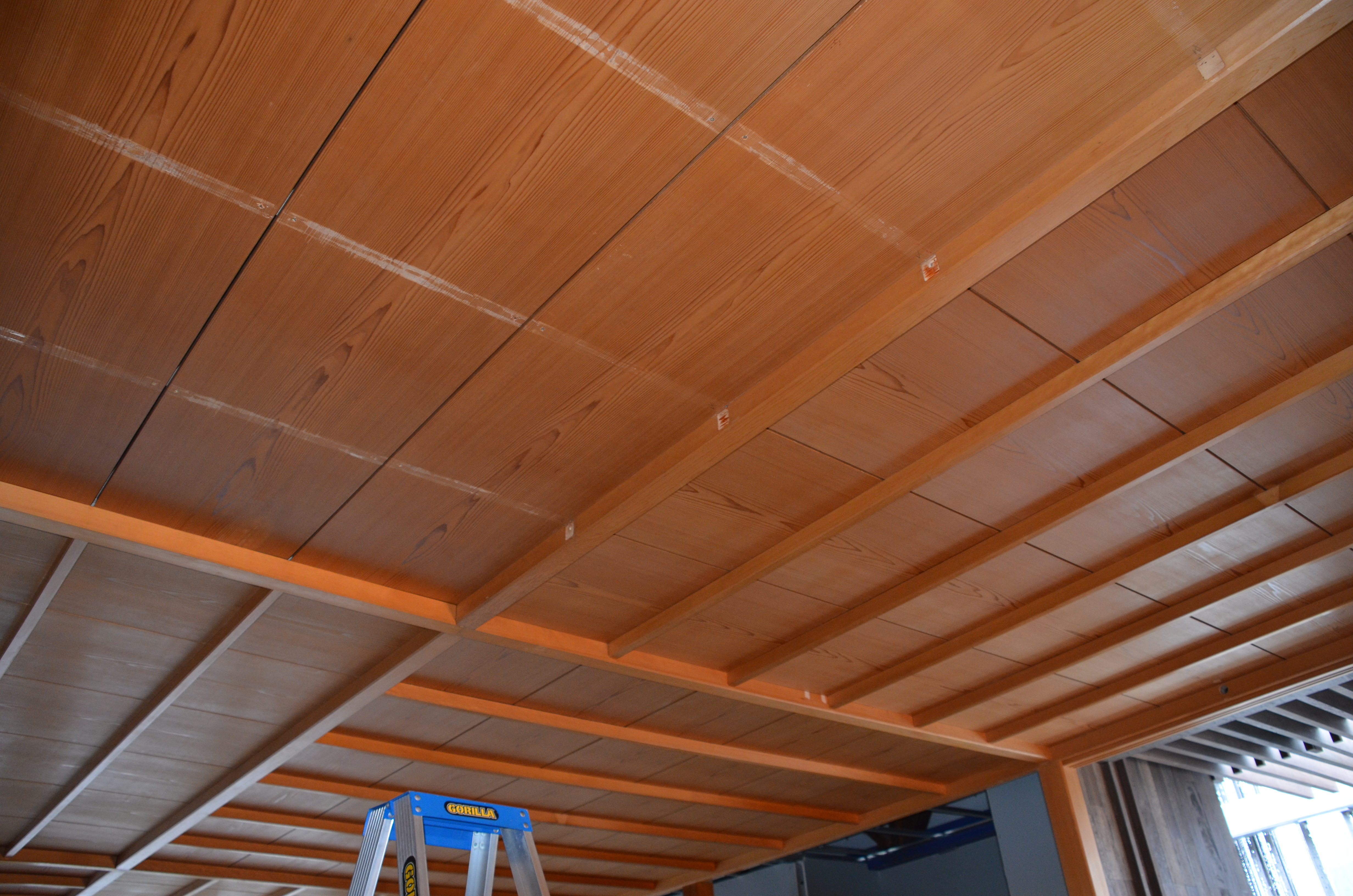 https://archive.abp.unimelb.edu.au/objects/images/Construction/Images/Japanese room refit/DSD_0479.JPG