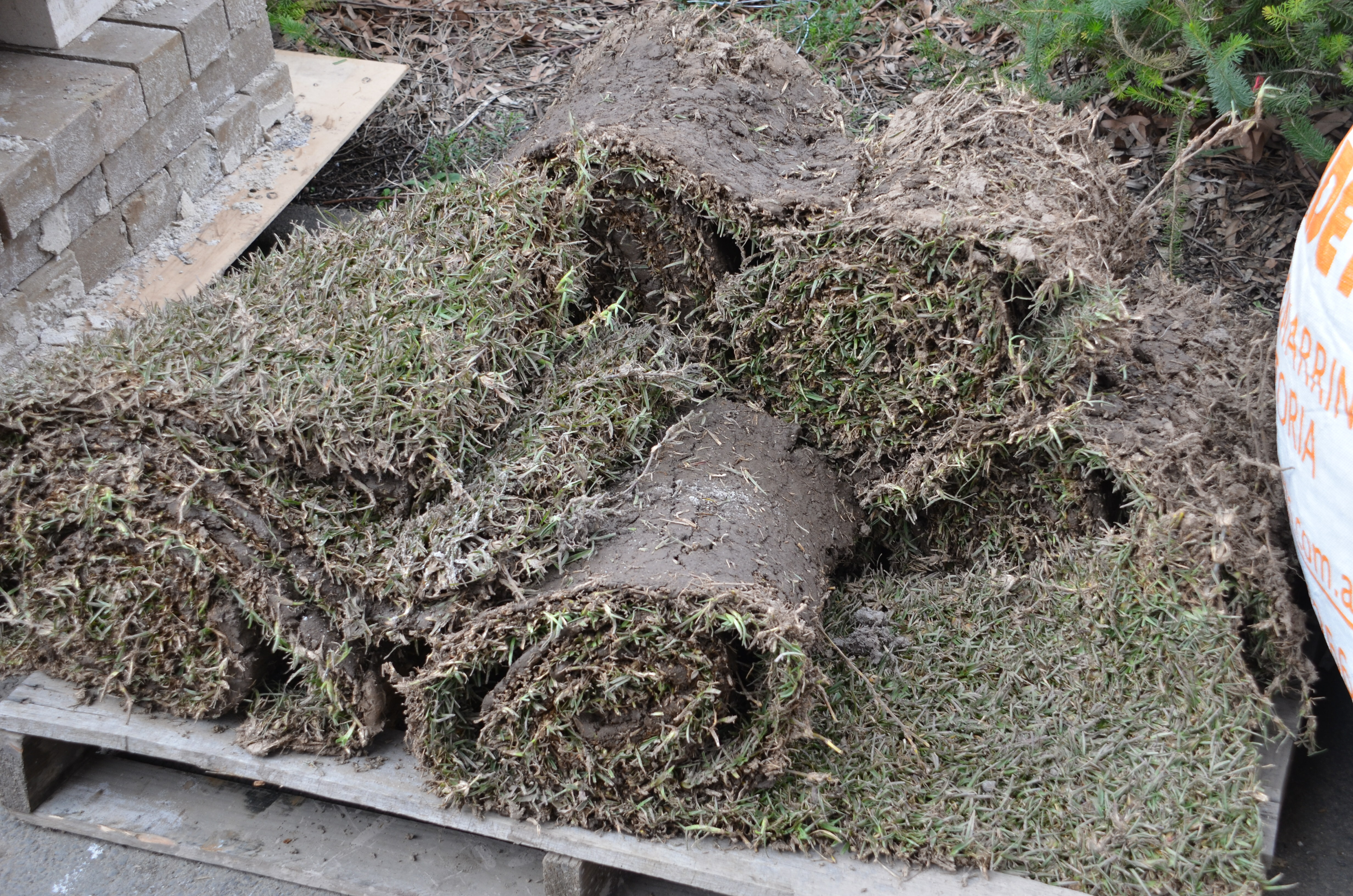https://archive.abp.unimelb.edu.au/objects/images/Construction/Images/External Works/Soil & instant turf grass/DSC_9770.JPG