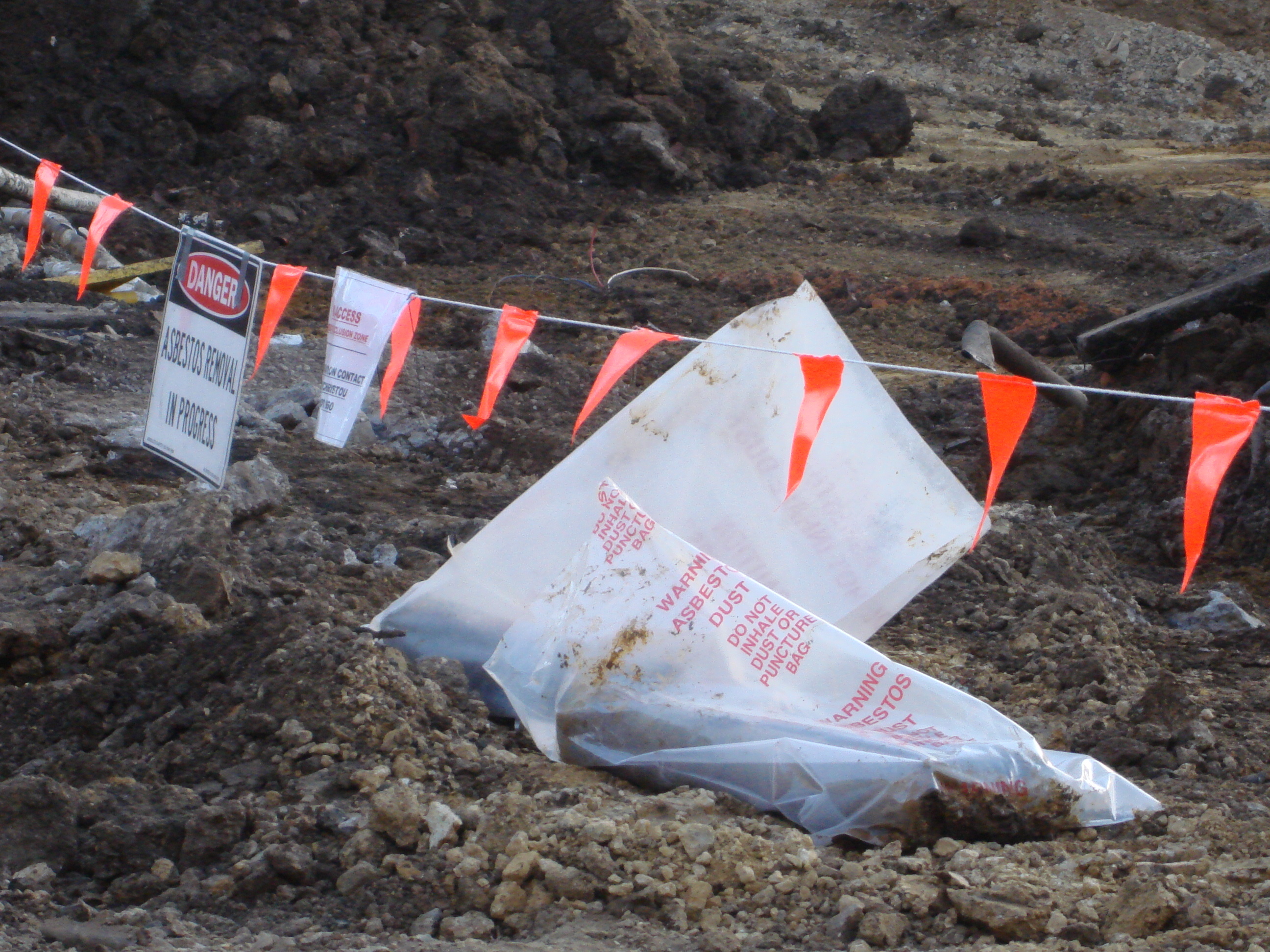 https://archive.abp.unimelb.edu.au/objects/images/Pre-construction/Asbestos removal/ABP/DSC08536.JPG https://archive.abp.unimelb.edu.au/objects/images/Pre-construction/Asbestos removal/ABP/DSC08536.JPG