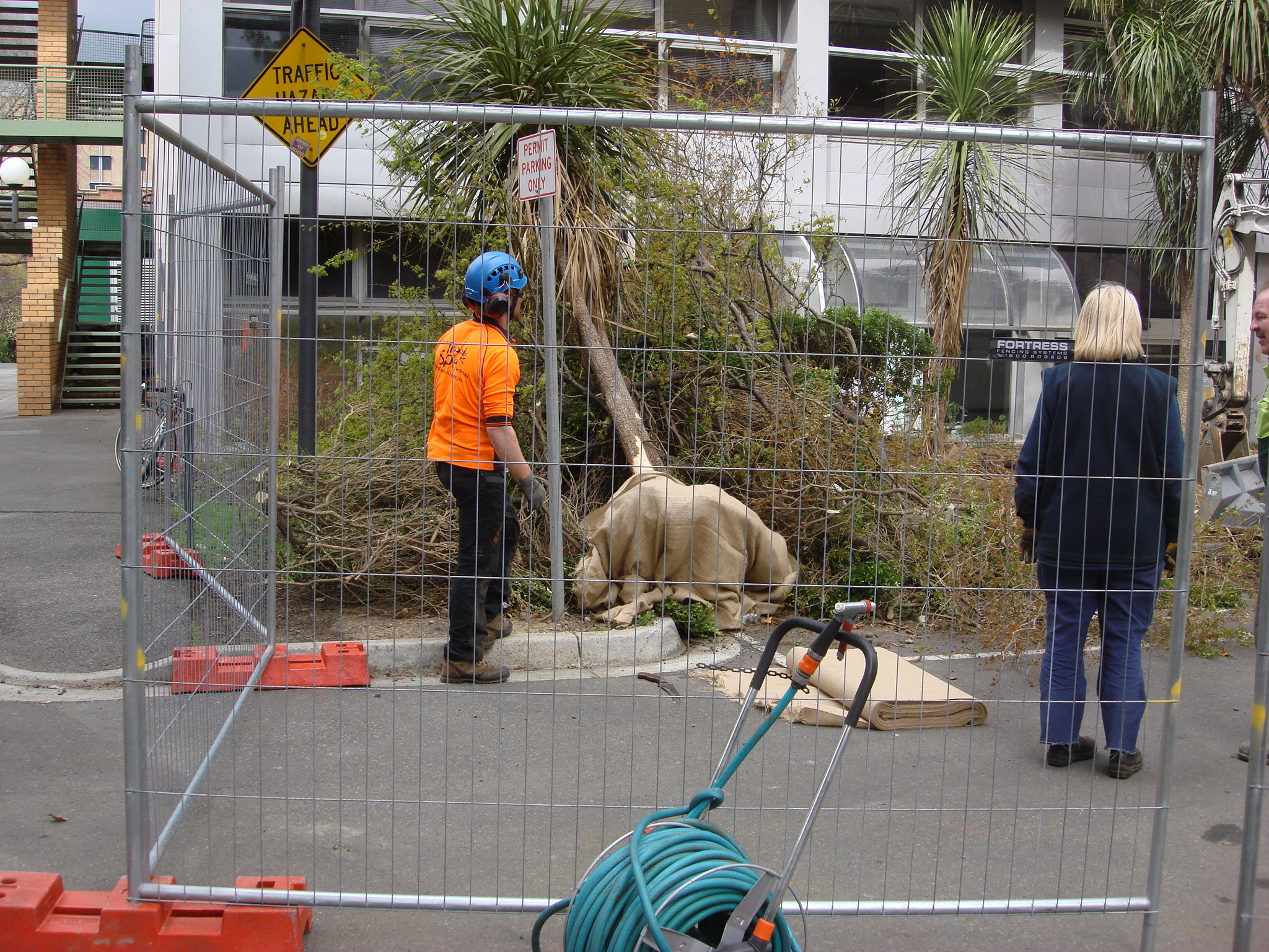 https://archive.abp.unimelb.edu.au/objects/images/Pre-construction/Tree removal - Peter Ashford/DSC06839.JPG