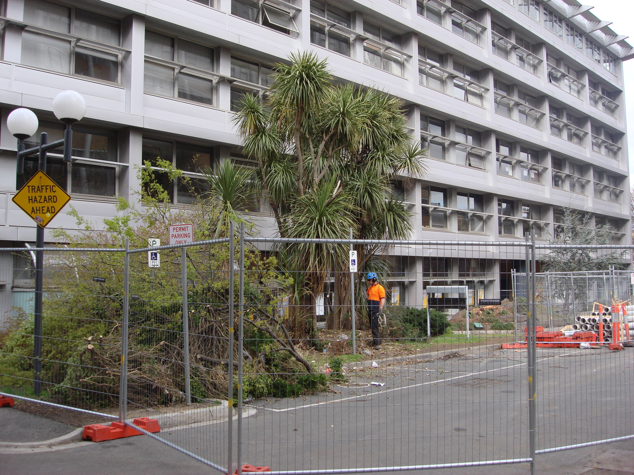 https://archive.abp.unimelb.edu.au/objects/images/Pre-construction/Tree removal - Peter Ashford/DSC06834.JPG https://archive.abp.unimelb.edu.au/objects/images/Pre-construction/Tree removal - Peter Ashford/DSC06834.JPG
