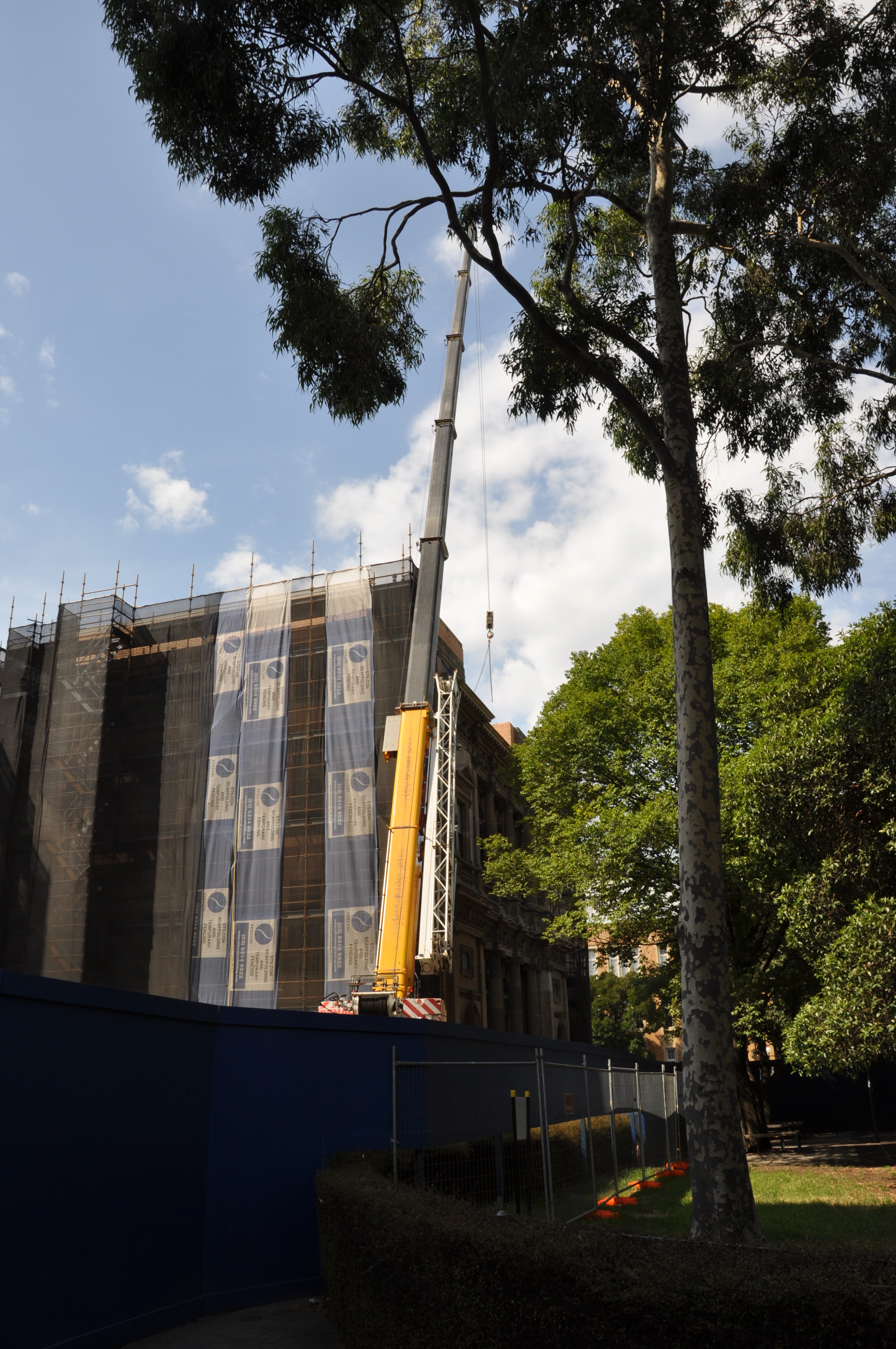 https://archive.abp.unimelb.edu.au/objects/images/Pre-construction/Joseph Reed facade works/DSC08151C.jpg https://archive.abp.unimelb.edu.au/objects/images/Pre-construction/Joseph Reed facade works/DSC08151C.jpg