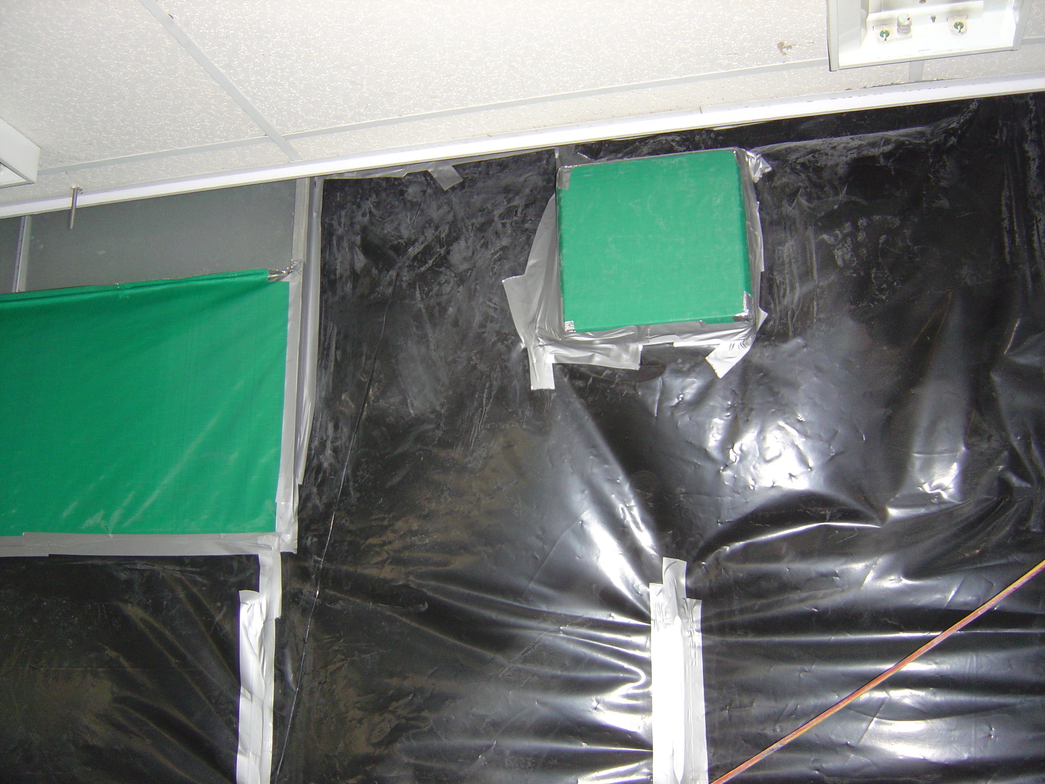https://archive.abp.unimelb.edu.au/objects/images/Pre-construction/Asbestos removal/ABP/DSC05371.JPG https://archive.abp.unimelb.edu.au/objects/images/Pre-construction/Asbestos removal/ABP/DSC05371.JPG