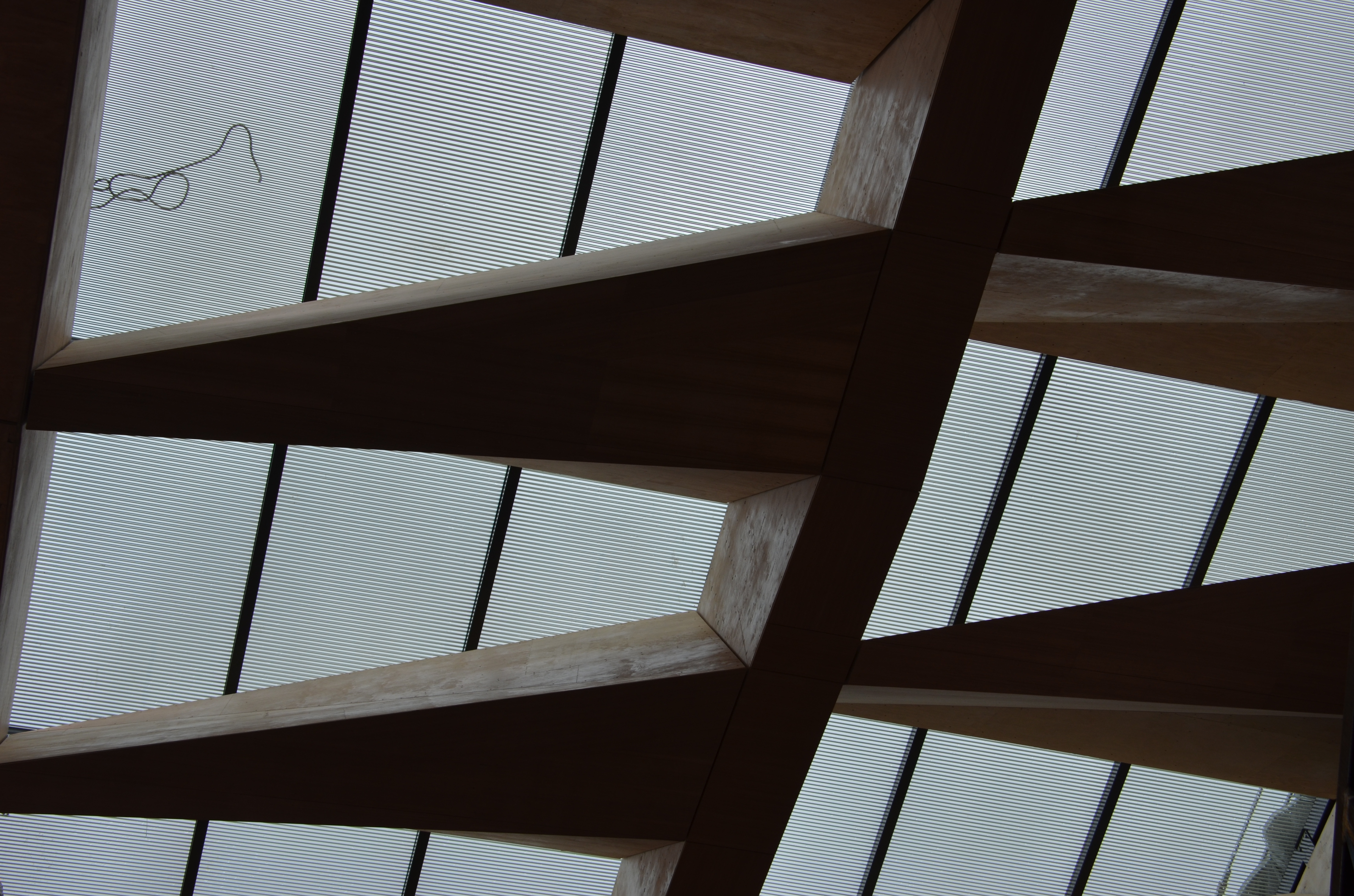 https://archive.abp.unimelb.edu.au/objects/images/Construction/Images/LVL roof beams & coffers/Installation/DSC_5478.JPG