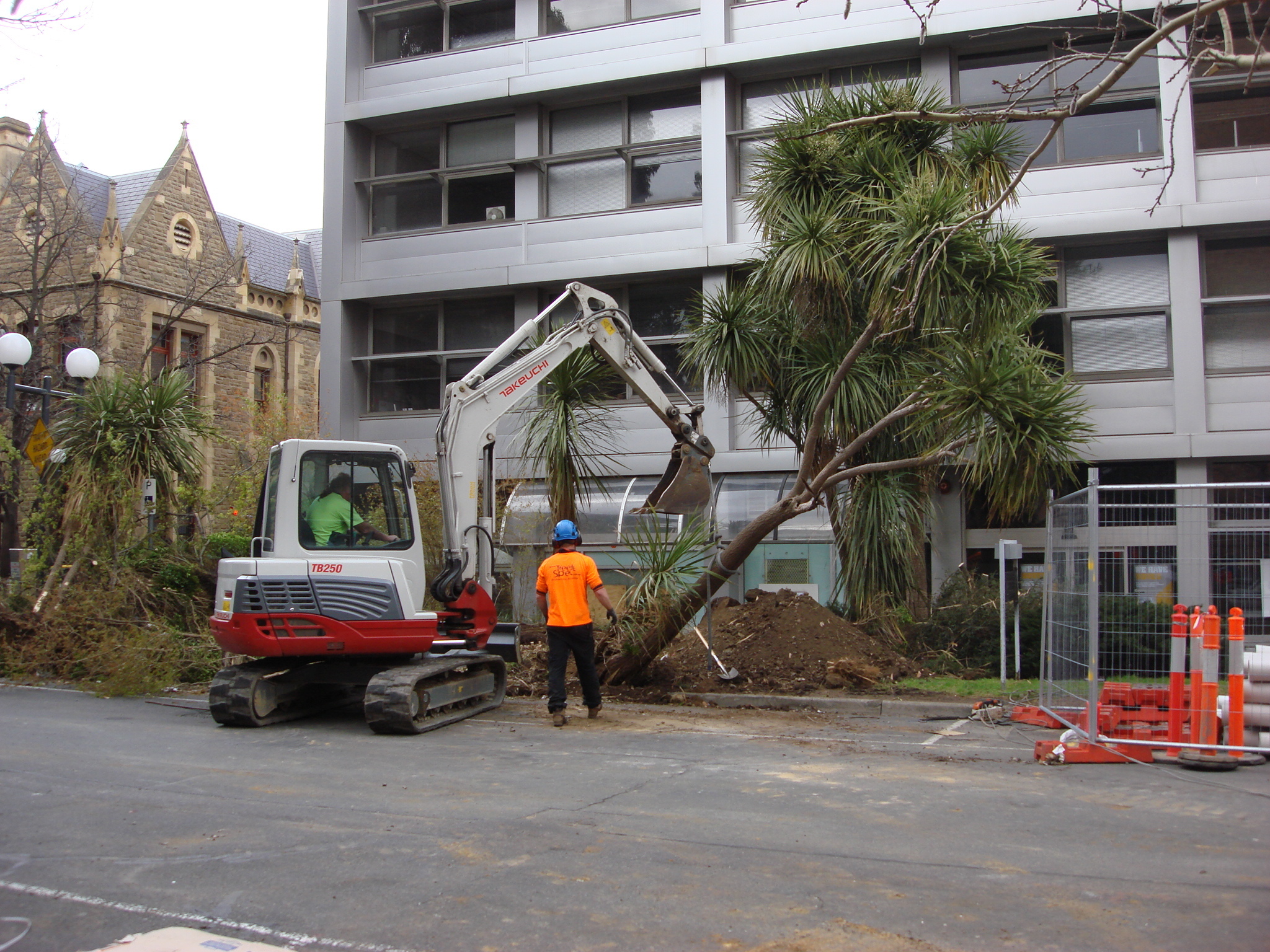 https://archive.abp.unimelb.edu.au/objects/images/Pre-construction/Tree removal - Peter Ashford/DSC06835.JPG https://archive.abp.unimelb.edu.au/objects/images/Pre-construction/Tree removal - Peter Ashford/DSC06835.JPG