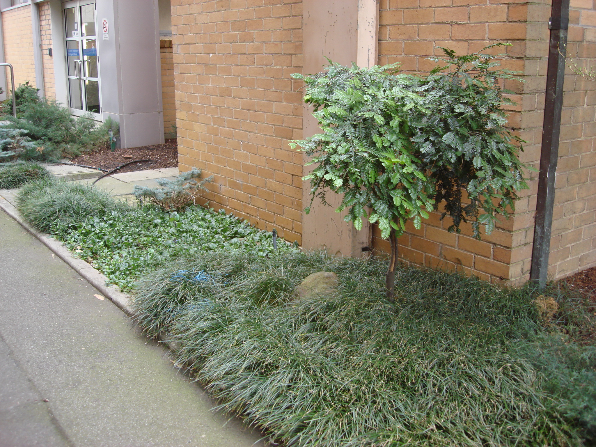 https://archive.abp.unimelb.edu.au/objects/images/Old ABP building and pre-existing conditions/ABP & Old Commerce/External-PAshford/DSC06814.JPG