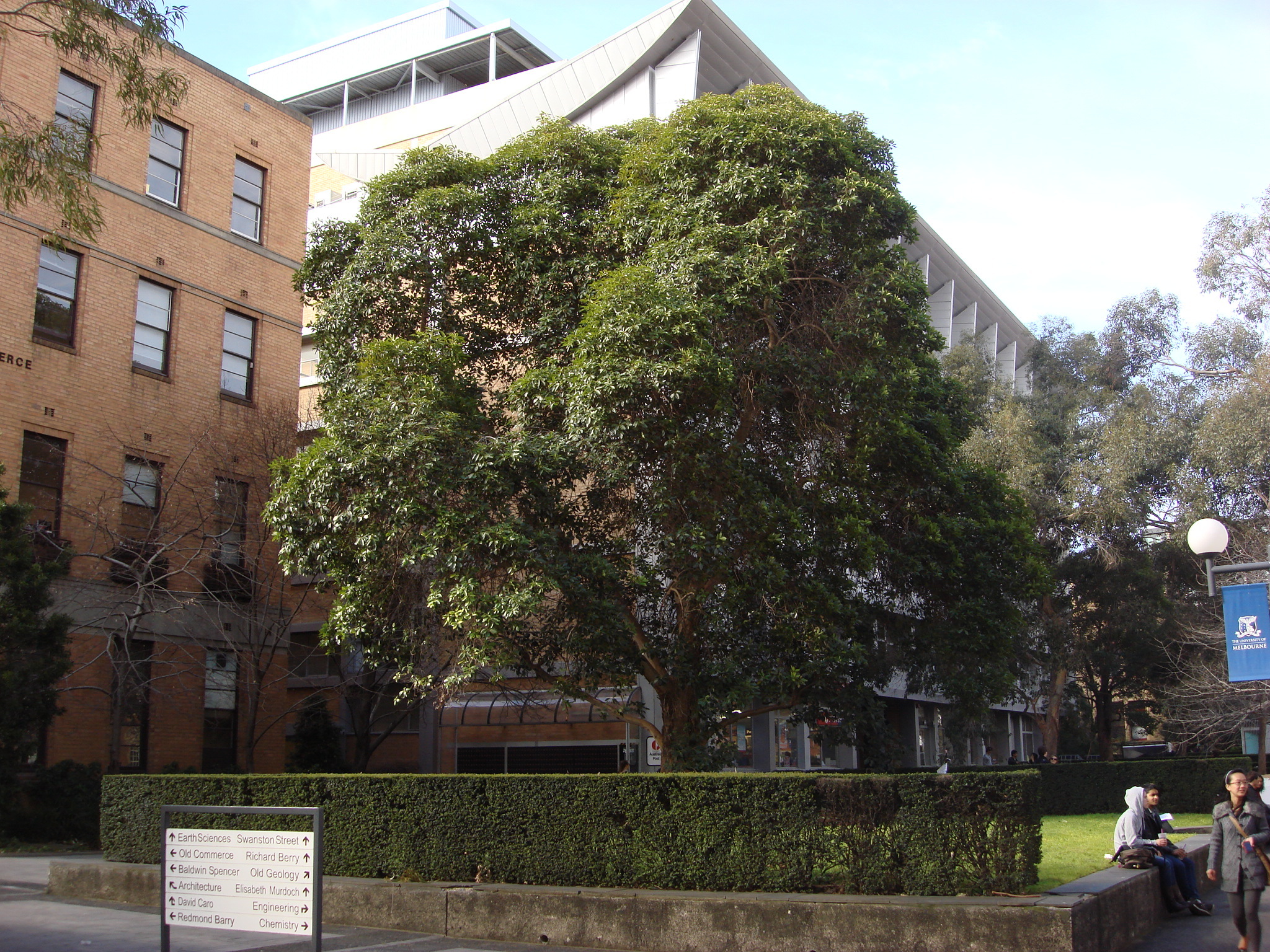 https://archive.abp.unimelb.edu.au/objects/images/Old ABP building and pre-existing conditions/ABP & Old Commerce/External-PAshford/DSC06698.JPG
