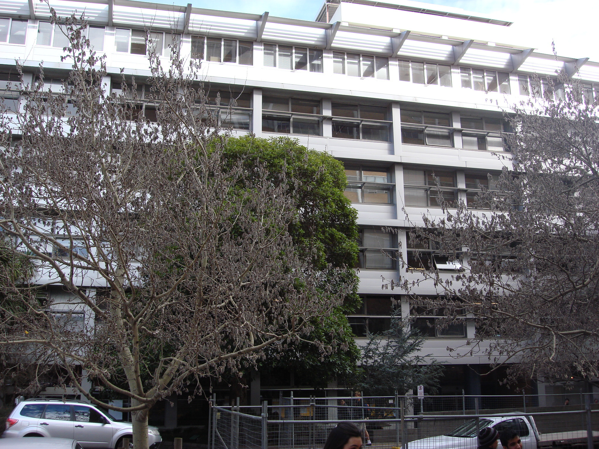 https://archive.abp.unimelb.edu.au/objects/images/Old ABP building and pre-existing conditions/ABP & Old Commerce/External-PAshford/DSC06711.JPG https://archive.abp.unimelb.edu.au/objects/images/Old ABP building and pre-existing conditions/ABP & Old Commerce/External-PAshford/DSC06711.JPG