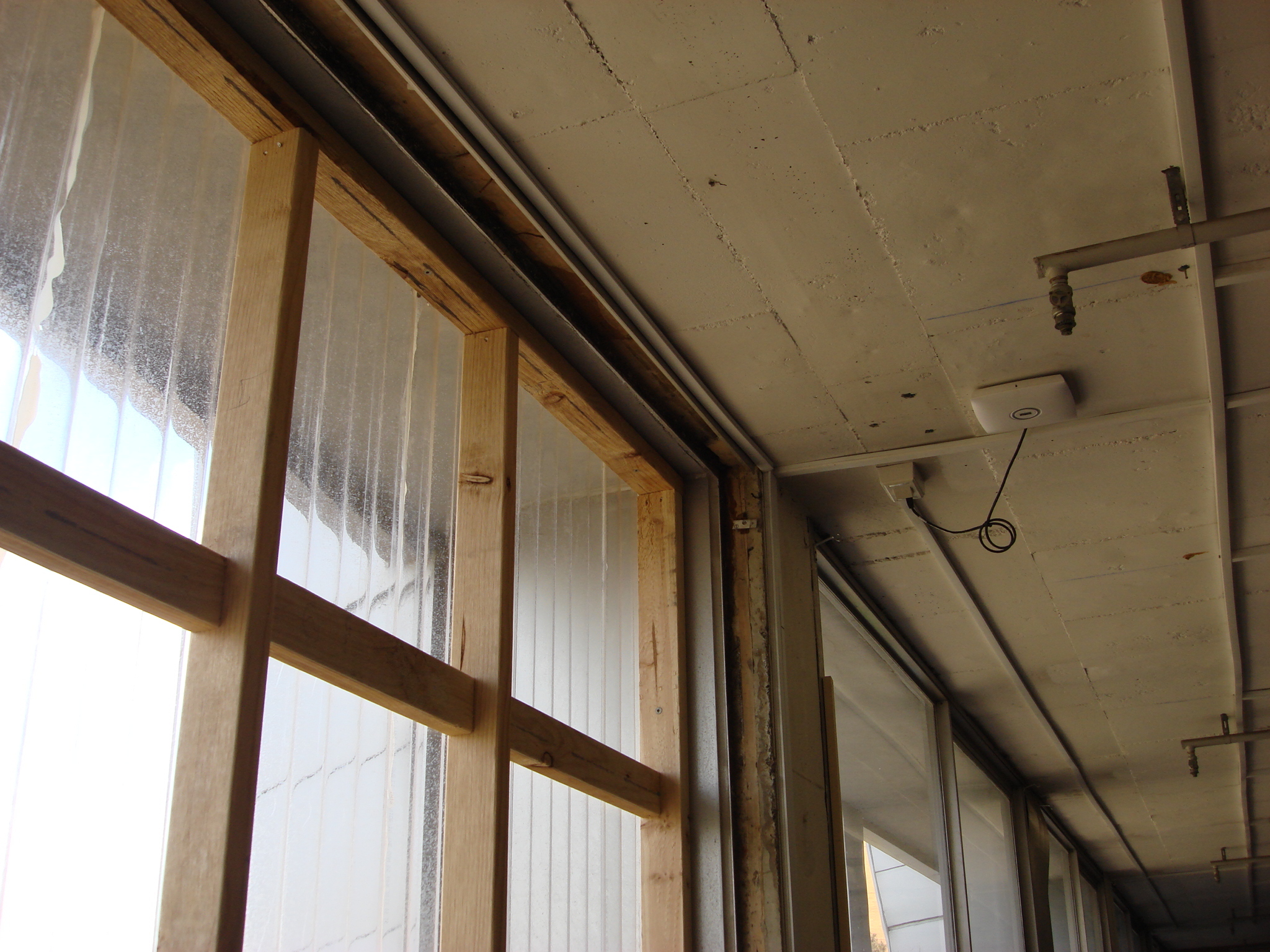 https://archive.abp.unimelb.edu.au/objects/images/Pre-construction/Asbestos removal/Library/DSC07595.JPG https://archive.abp.unimelb.edu.au/objects/images/Pre-construction/Asbestos removal/Library/DSC07595.JPG