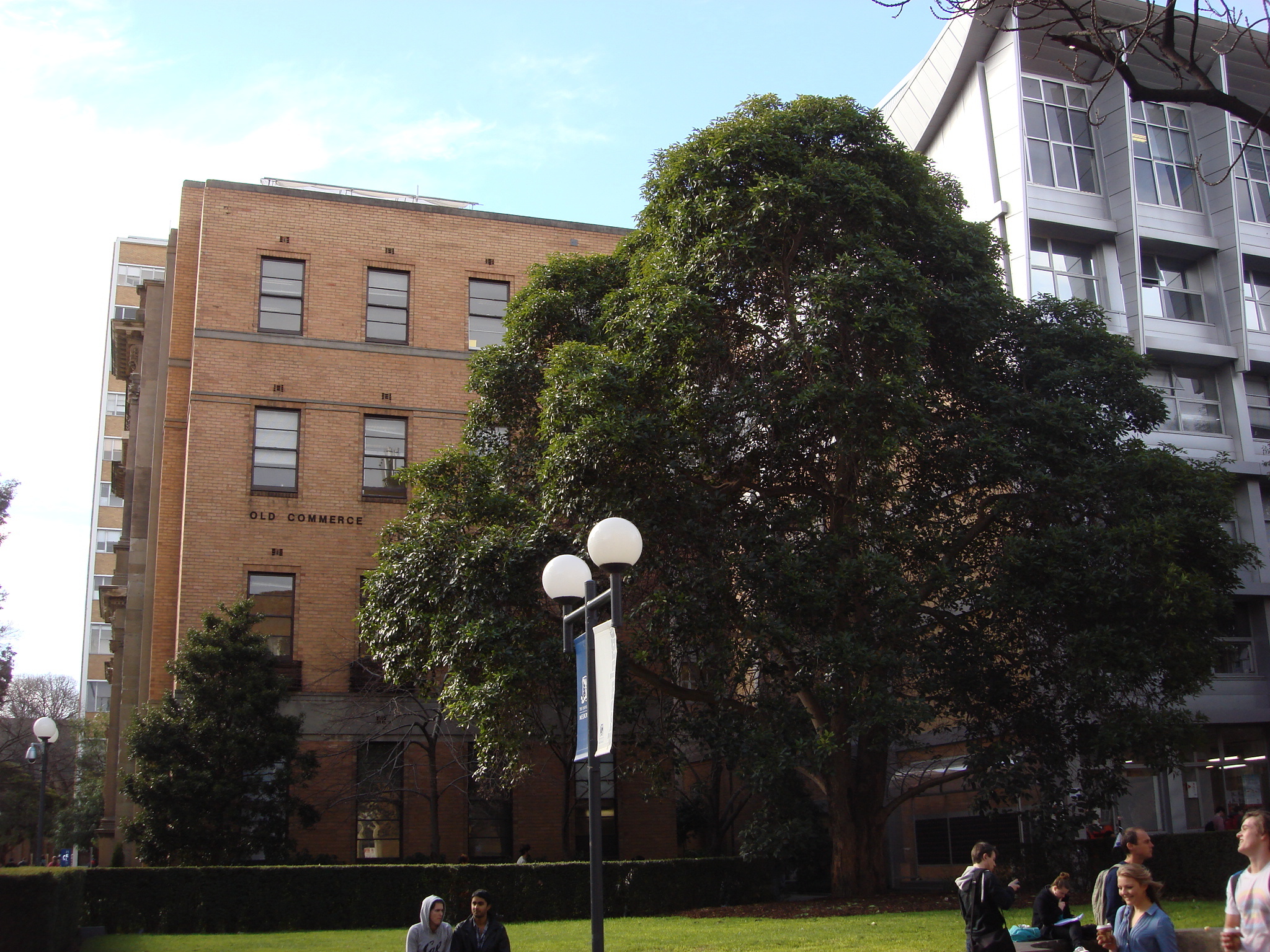 https://archive.abp.unimelb.edu.au/objects/images/Old ABP building and pre-existing conditions/ABP & Old Commerce/External-PAshford/DSC06699.JPG https://archive.abp.unimelb.edu.au/objects/images/Old ABP building and pre-existing conditions/ABP & Old Commerce/External-PAshford/DSC06699.JPG