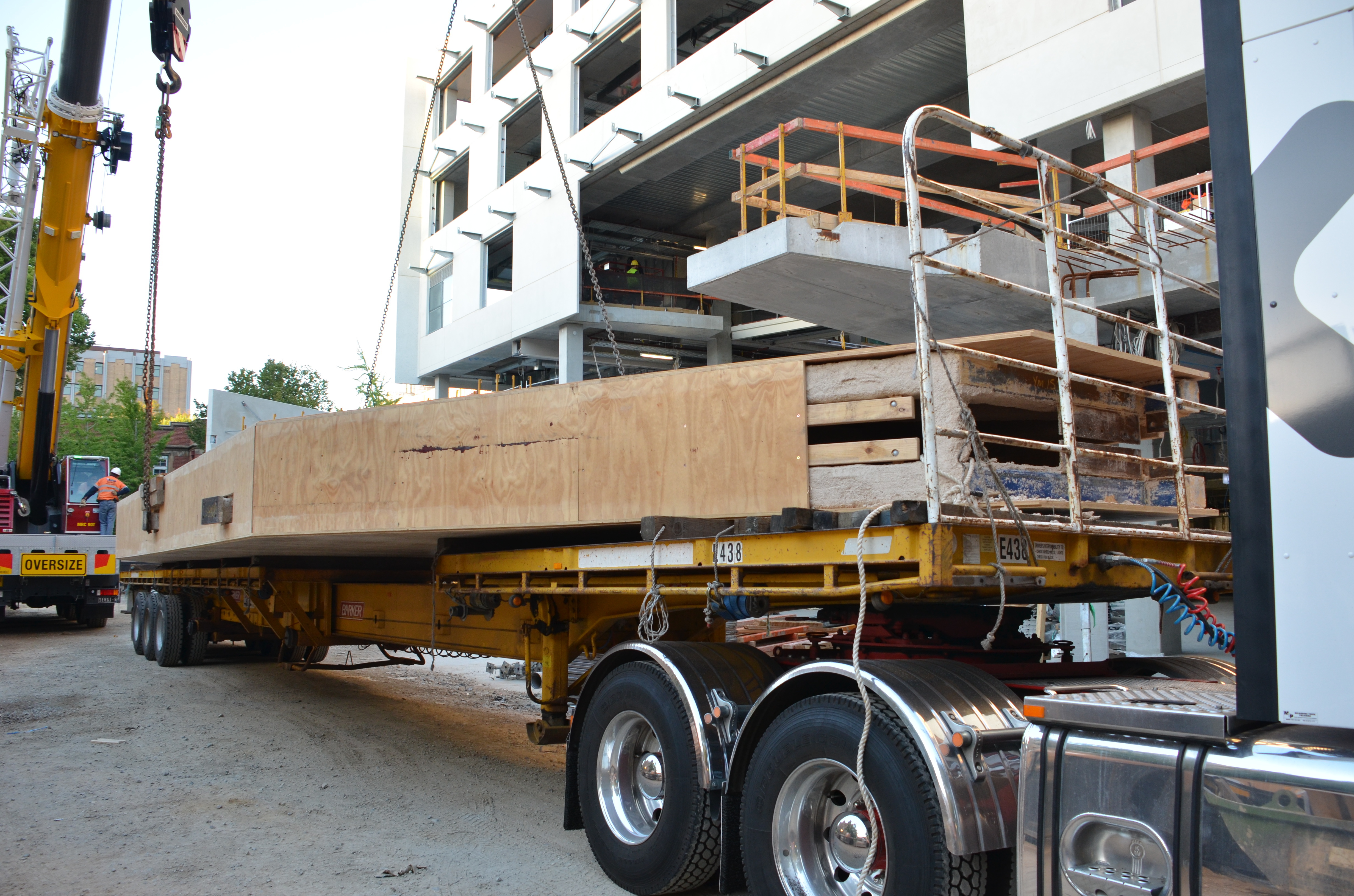 https://archive.abp.unimelb.edu.au/objects/images/Construction/Images/LVL roof beams & coffers/Installation/DSC_5318.JPG