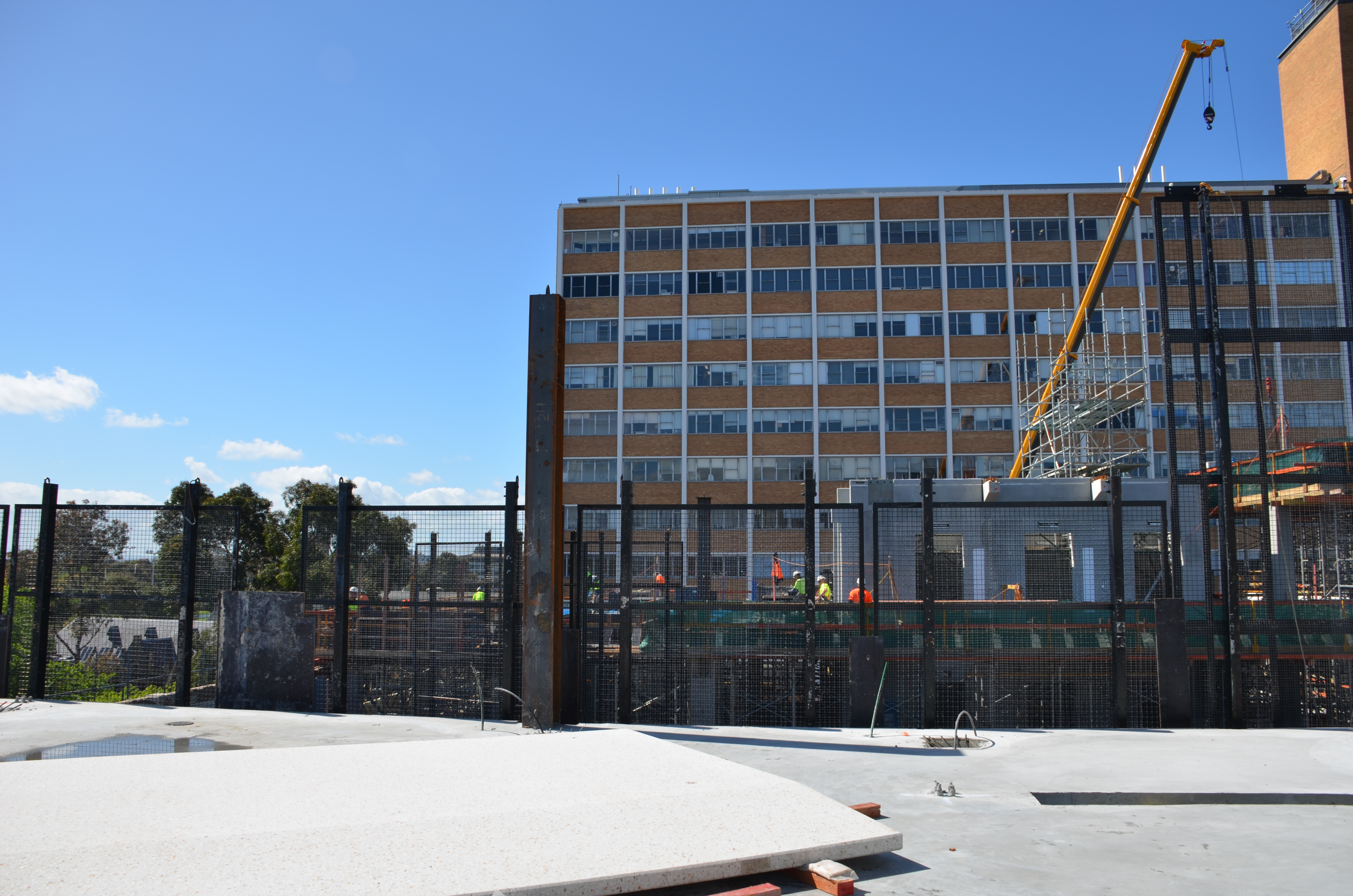 https://archive.abp.unimelb.edu.au/objects/images/Construction/Images/Structural steel/General roof/DSC_3177.JPG