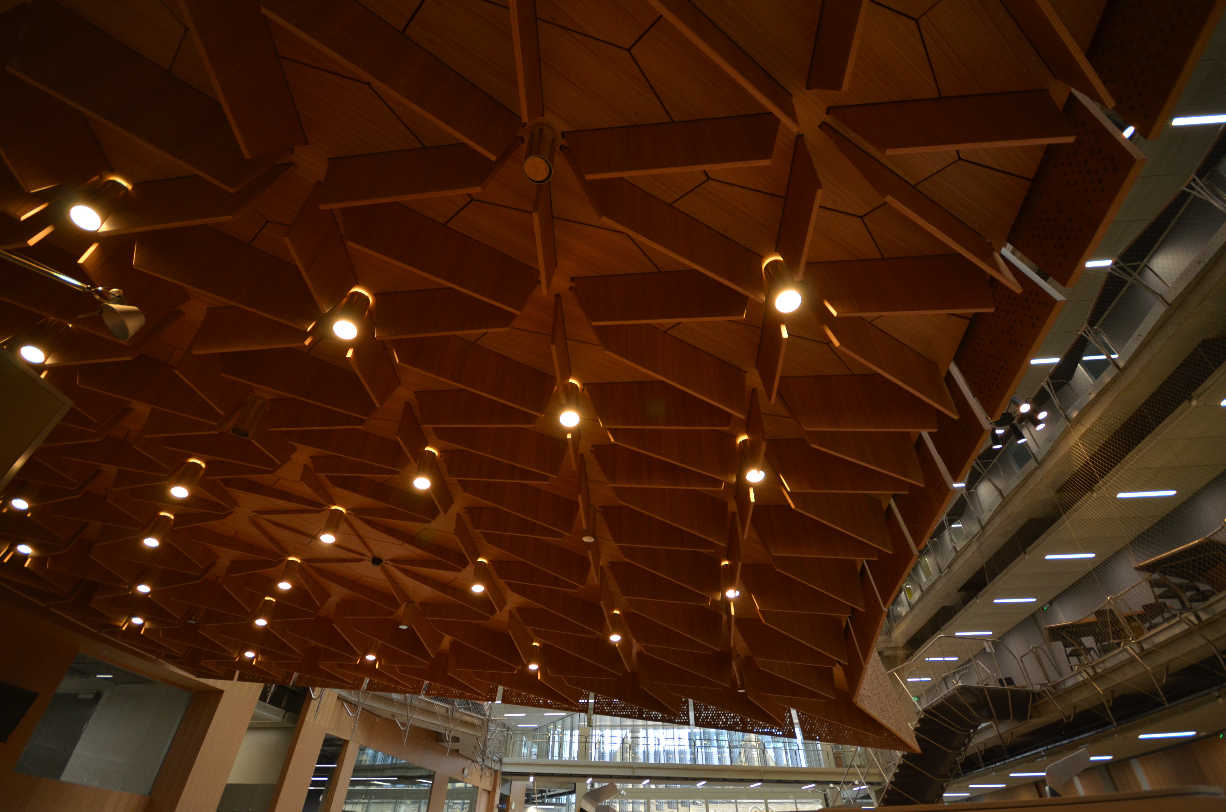 https://archive.abp.unimelb.edu.au/objects/images/Construction/Images/Hanging studio/Underside/DSD_0168.JPG https://archive.abp.unimelb.edu.au/objects/images/Construction/Images/Hanging studio/Underside/DSD_0168.JPG