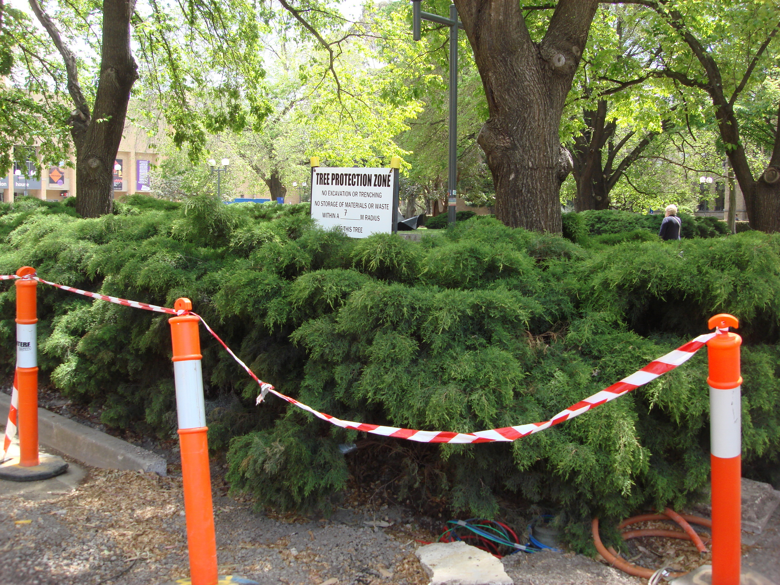 https://archive.abp.unimelb.edu.au/objects/images/Pre-construction/Enabling works/DSC07644.JPG https://archive.abp.unimelb.edu.au/objects/images/Pre-construction/Enabling works/DSC07644.JPG