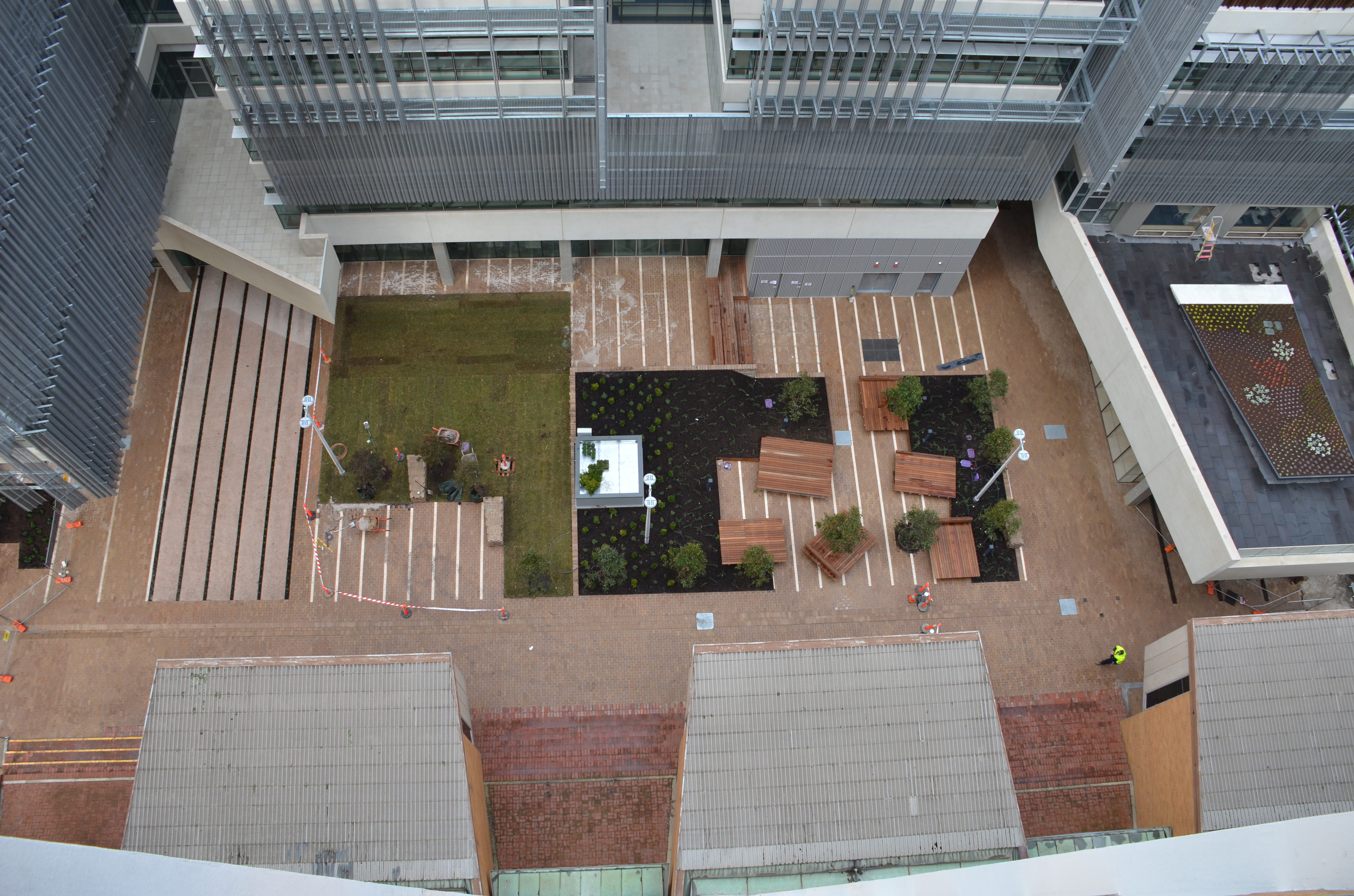 https://archive.abp.unimelb.edu.au/objects/images/Construction/Images/External Works/Planting/DSC_9854.JPG
