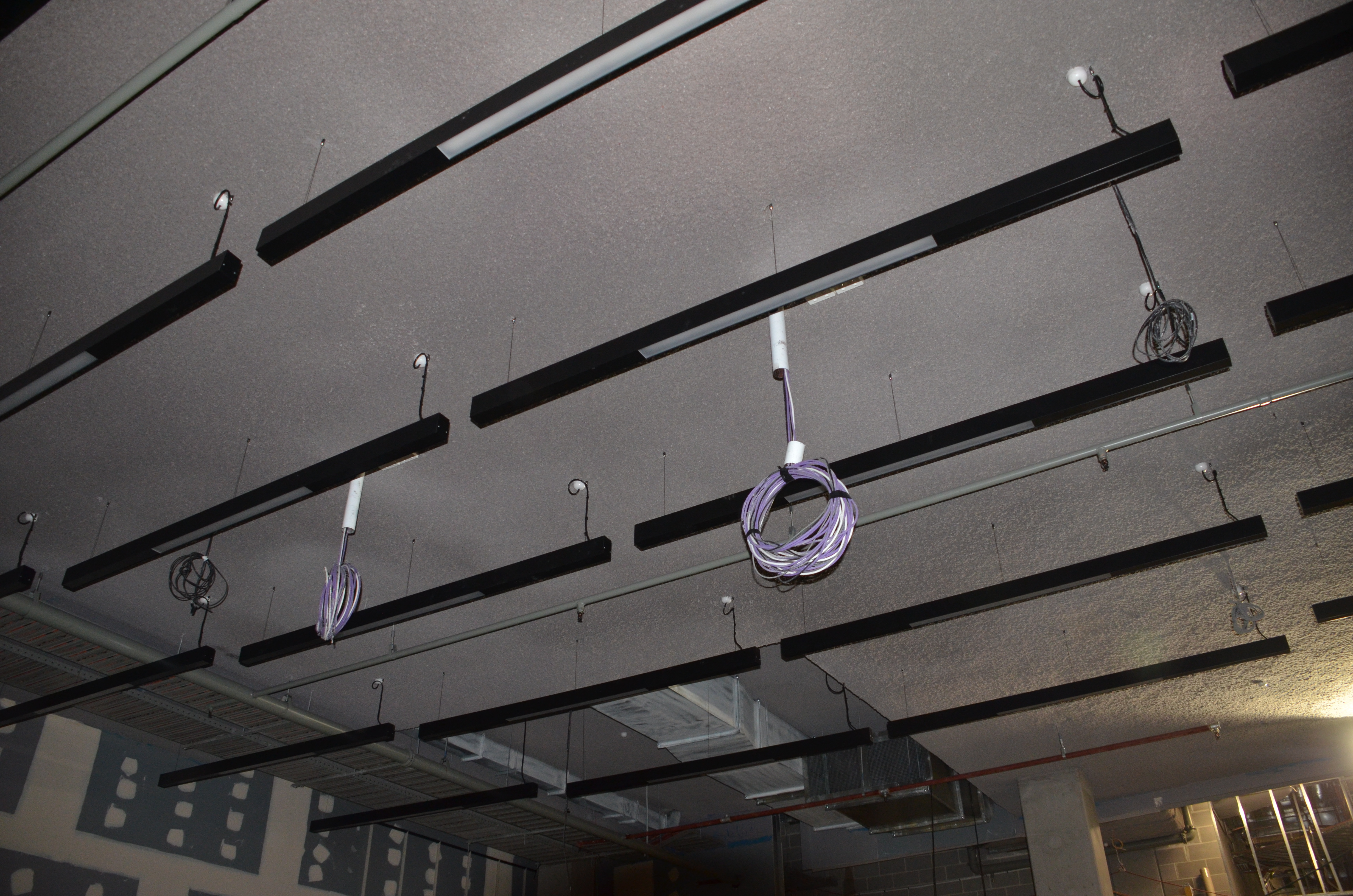 https://archive.abp.unimelb.edu.au/objects/images/Construction/Images/Ceilings/Small lecture theatres/DSC_6312.JPG