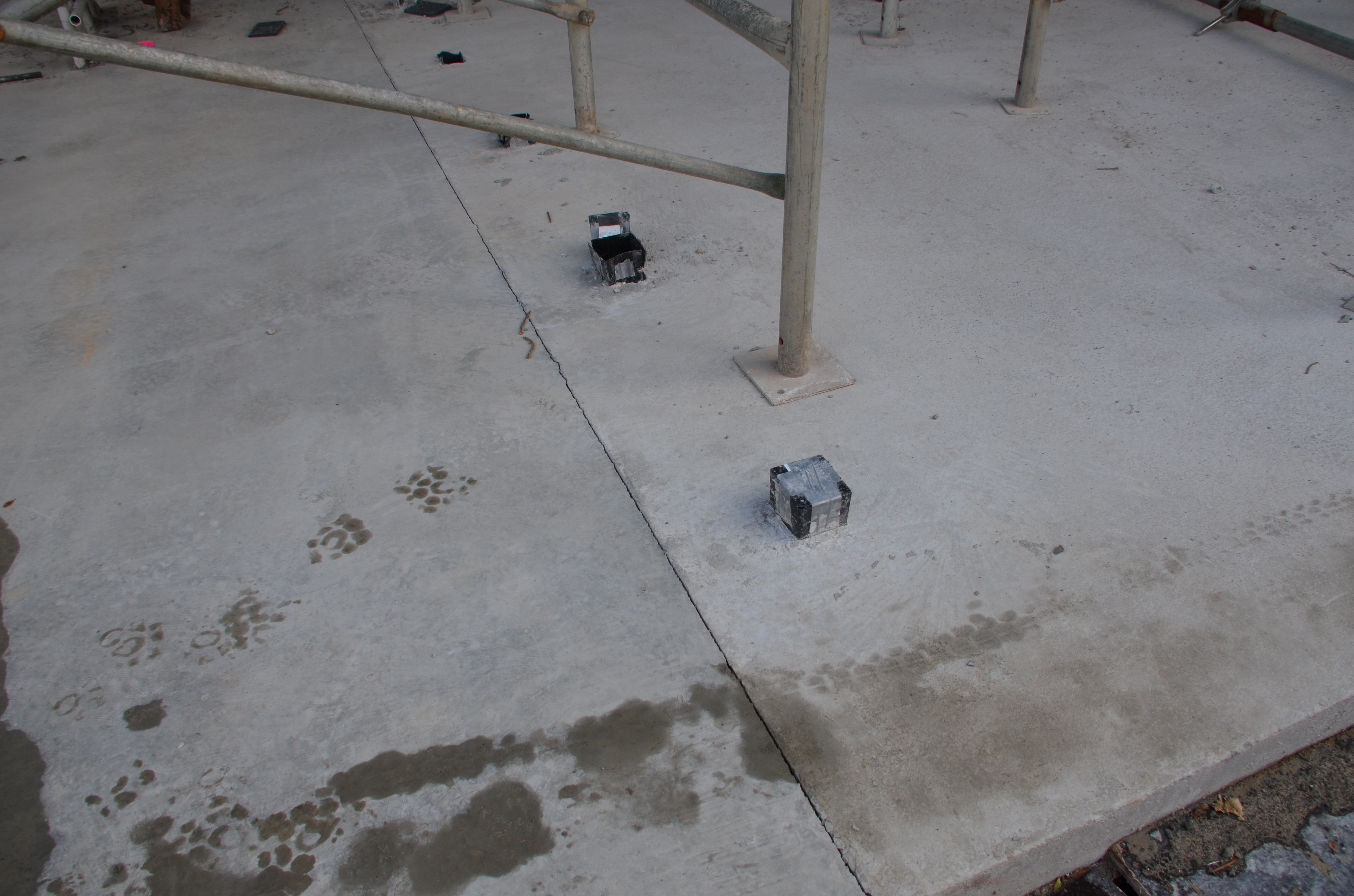 https://archive.abp.unimelb.edu.au/objects/images/Construction/Images/Concrete suspended slabs and beams/Slab movement joints/DSC_2460.JPG