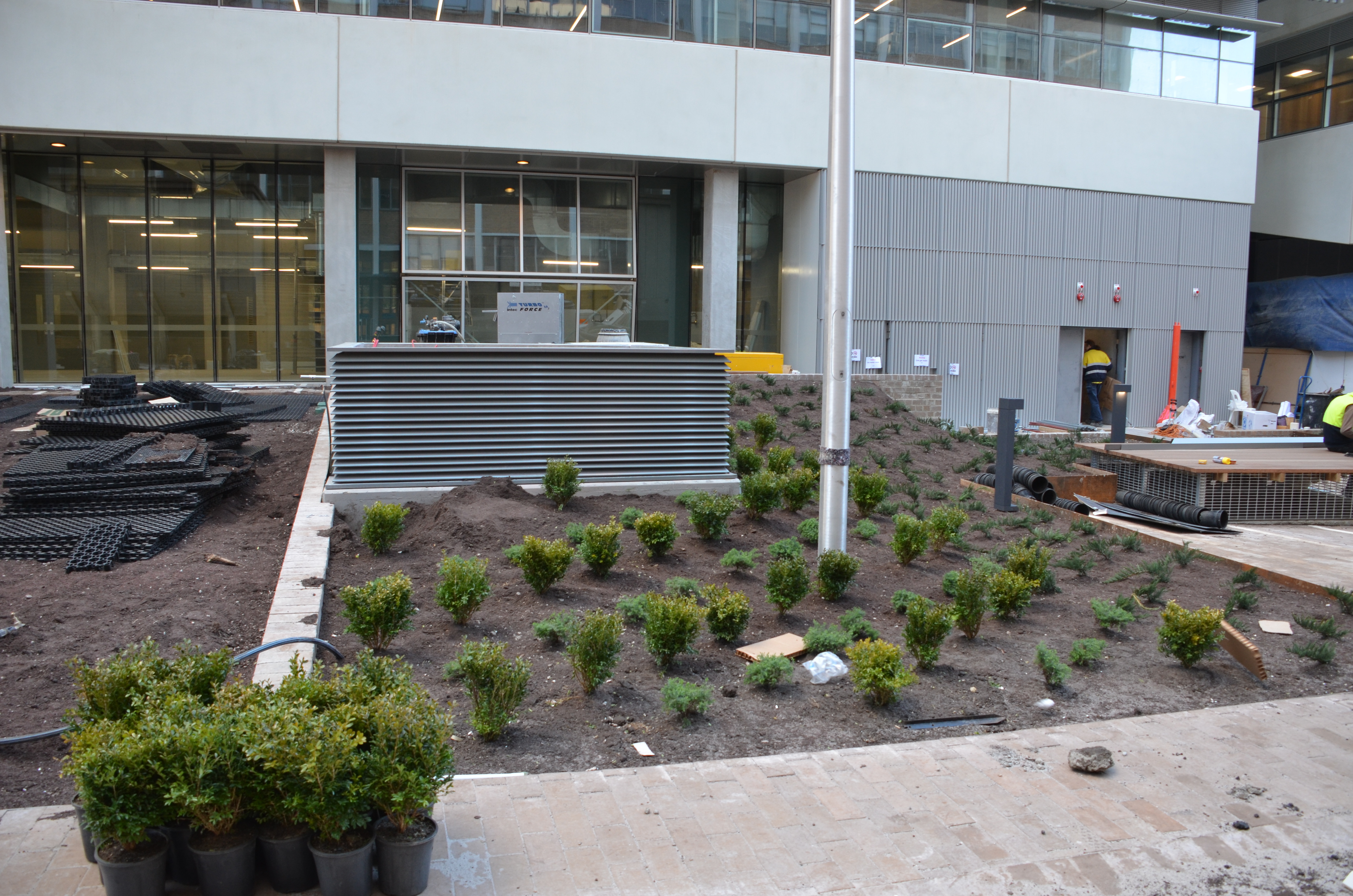 https://archive.abp.unimelb.edu.au/objects/images/Construction/Images/External Works/Planting/DSC_9705.JPG https://archive.abp.unimelb.edu.au/objects/images/Construction/Images/External Works/Planting/DSC_9705.JPG