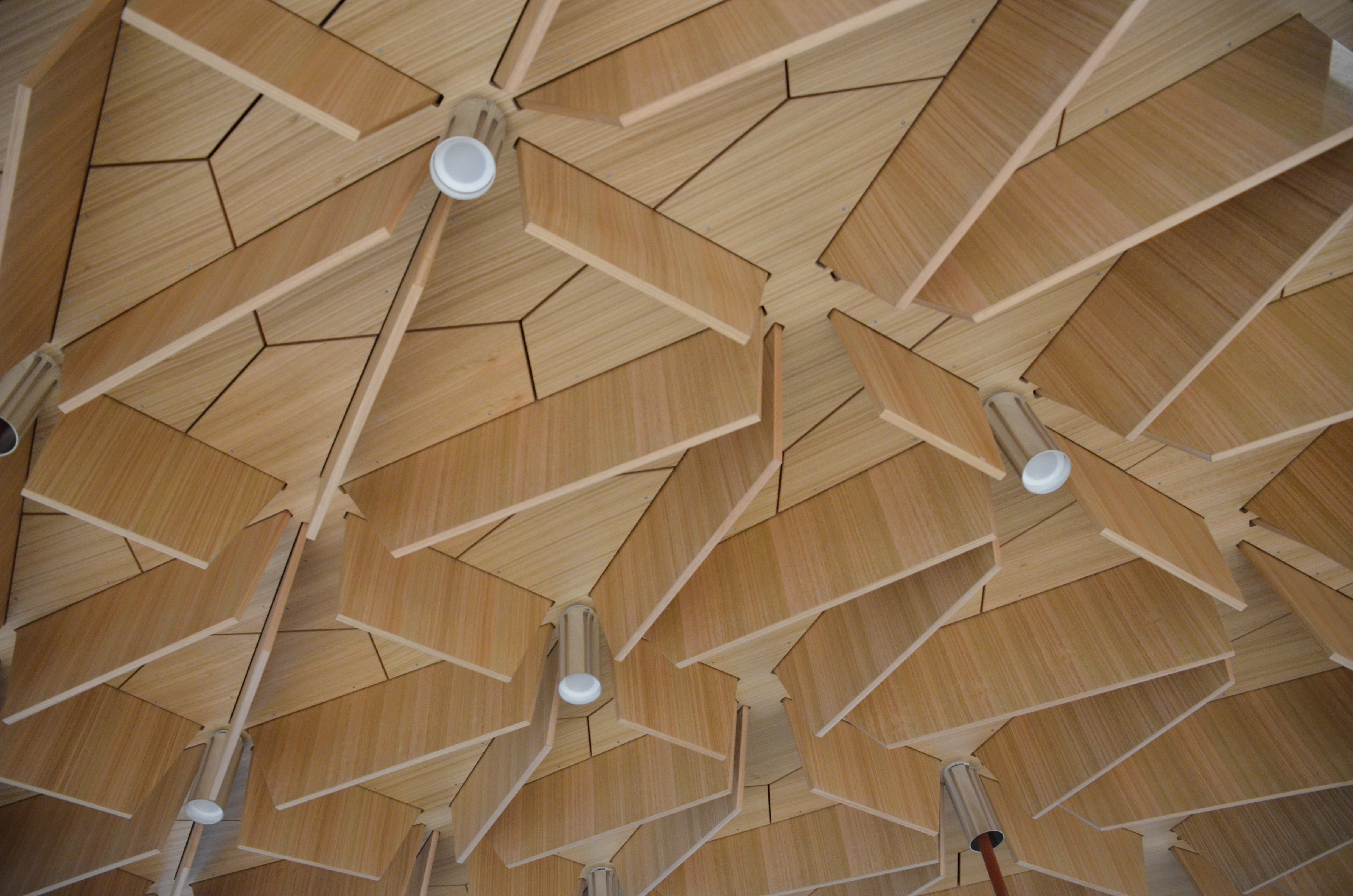 https://archive.abp.unimelb.edu.au/objects/images/Construction/Images/Hanging studio/Underside/DSC_8983.JPG https://archive.abp.unimelb.edu.au/objects/images/Construction/Images/Hanging studio/Underside/DSC_8983.JPG