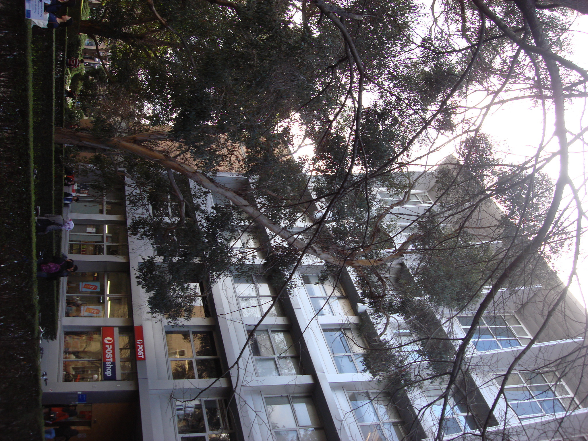https://archive.abp.unimelb.edu.au/objects/images/Old ABP building and pre-existing conditions/ABP & Old Commerce/External-PAshford/DSC06702.JPG