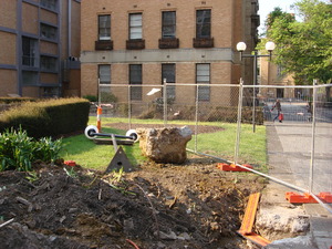 https://archive.abp.unimelb.edu.au/objects/images/Pre-construction/Enabling works/DSC07622.JPG
