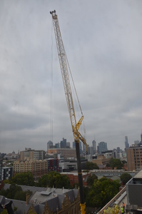 https://archive.abp.unimelb.edu.au/objects/images/Construction/Images/LVL roof beams & coffers/Installation/DSC_5831.JPG