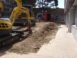 https://archive.abp.unimelb.edu.au/objects/images/Pre-construction/Enabling works/DSC07770.JPG