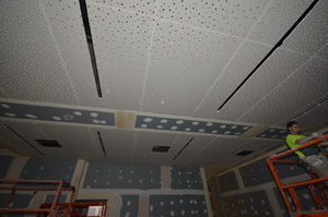 https://archive.abp.unimelb.edu.au/objects/images/Construction/Images/Ceilings/Library/DSC_6689.JPG