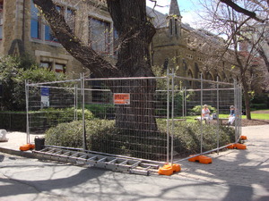 https://archive.abp.unimelb.edu.au/objects/images/Pre-construction/Enabling works/DSC07461.JPG