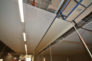 https://archive.abp.unimelb.edu.au/objects/images/Construction/Images/Ceilings/Perforated metal/DSC_8895.JPG