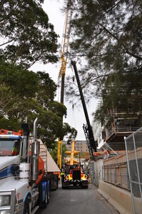 https://archive.abp.unimelb.edu.au/objects/images/Construction/Images/LVL roof beams & coffers/Installation/DSC_5827.JPG