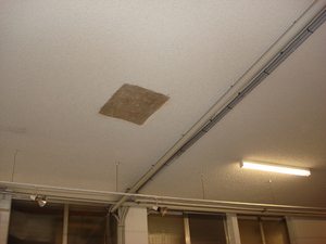 https://archive.abp.unimelb.edu.au/objects/images/Pre-construction/Asbestos removal/ABP/DSC07497.JPG