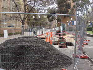 https://archive.abp.unimelb.edu.au/objects/images/Pre-construction/Enabling works/DSC06830.JPG