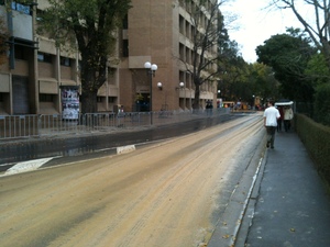 https://archive.abp.unimelb.edu.au/objects/images/Construction/Images/Site facilities/Traffic management & cleanup/DSC_0009N.JPG