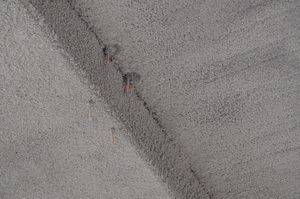 https://archive.abp.unimelb.edu.au/objects/images/Construction/Images/Ceilings/Acoustic spray ceilings/DSC_3264.JPG